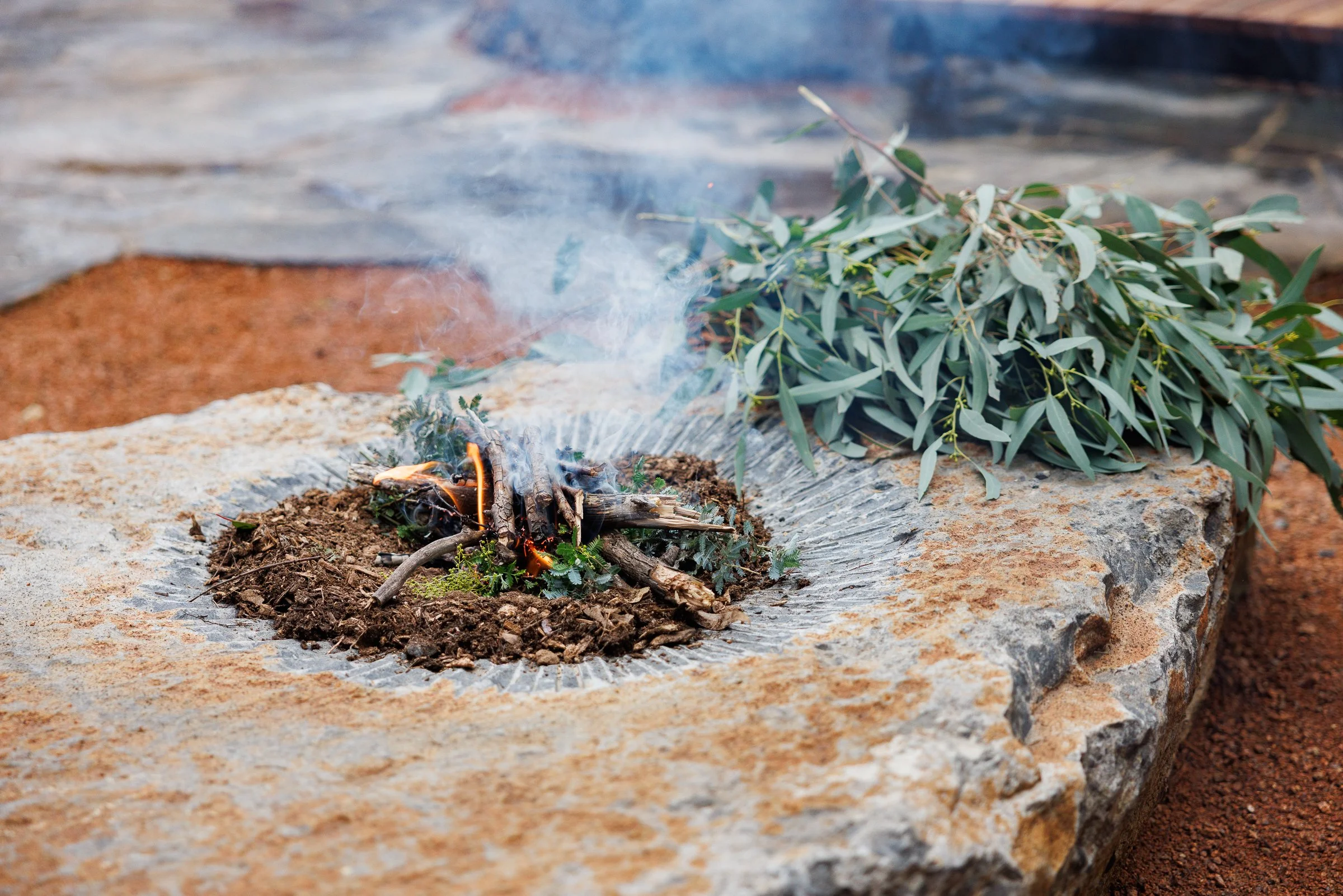 260610_Yarning_Circle_Ngaladjima_Gardens_Opening_Web_Res-2.jpg