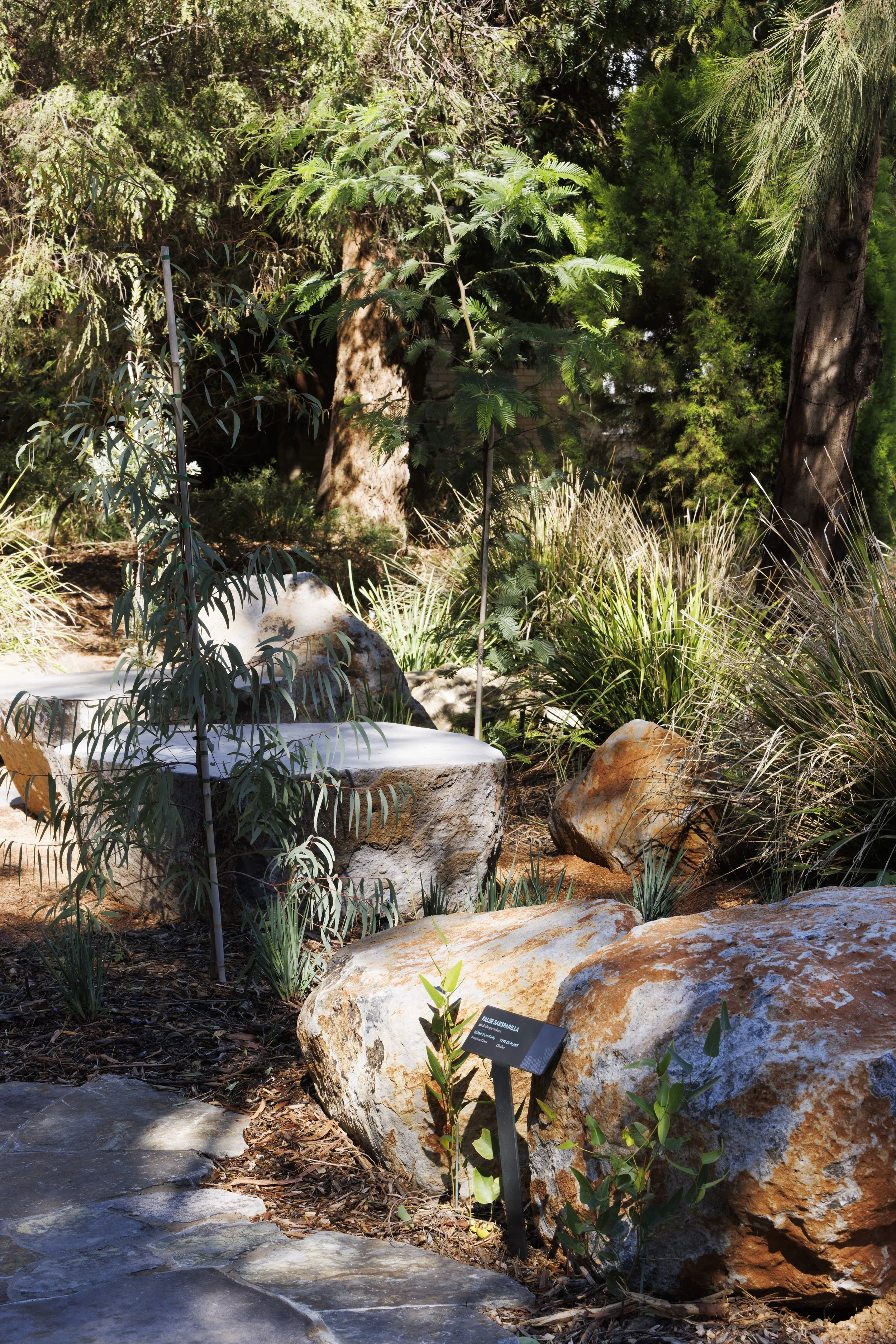Outdoor Learning Space- image 9- Dianna Snape.jpg