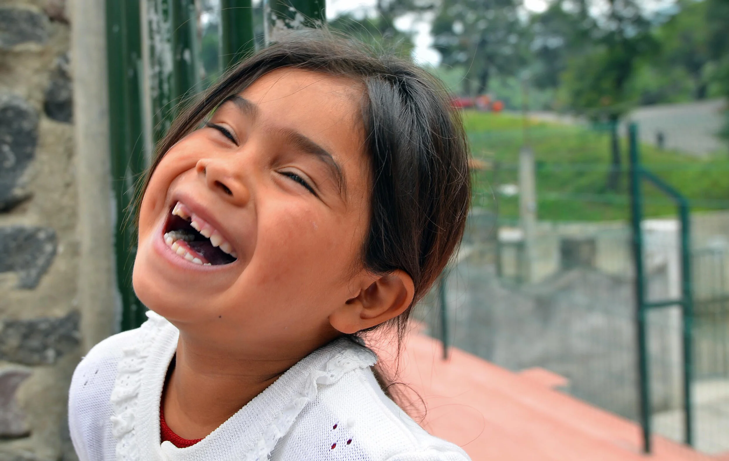 Volcano Village 9a.jpg