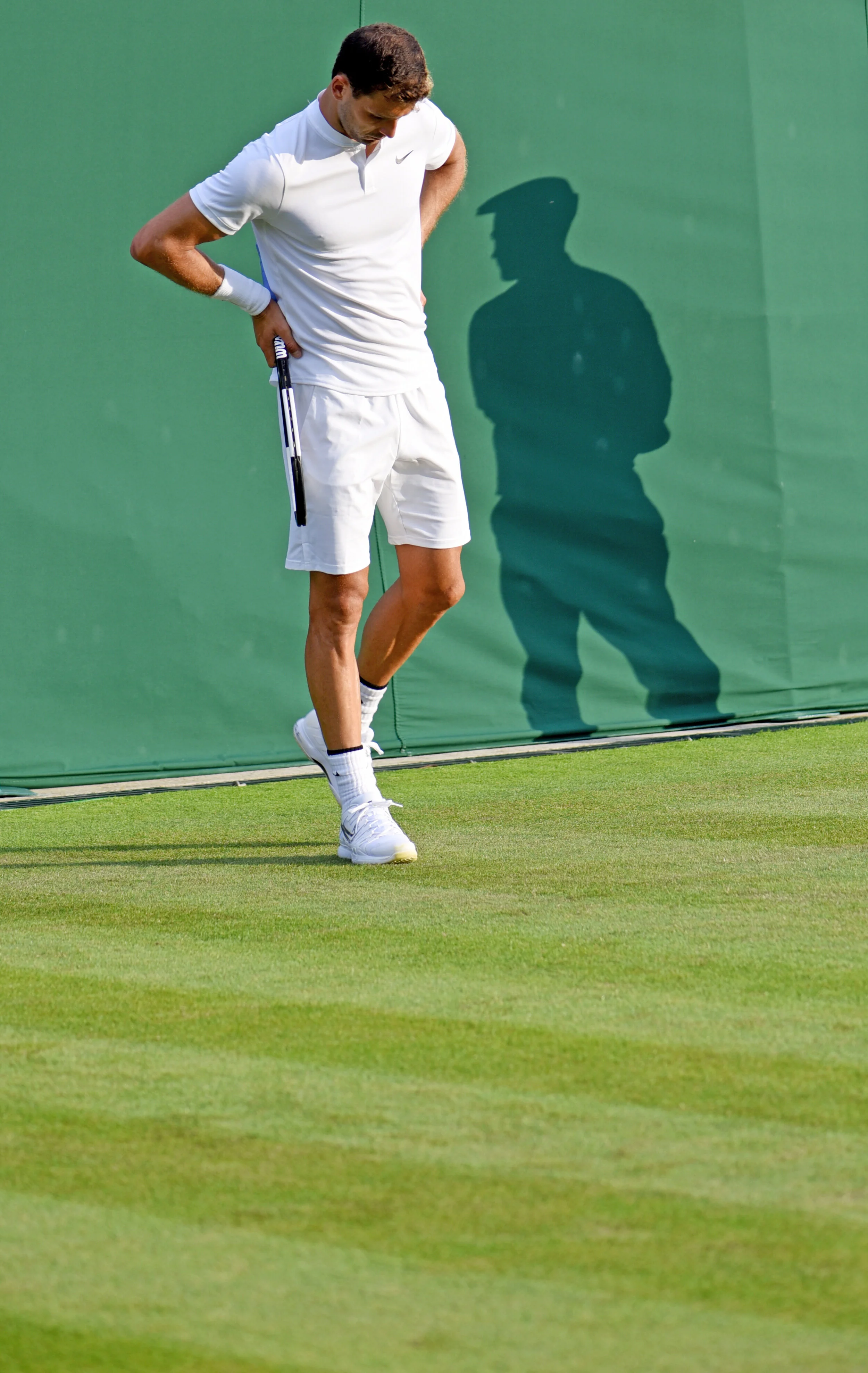 Dimitrov 1.jpg