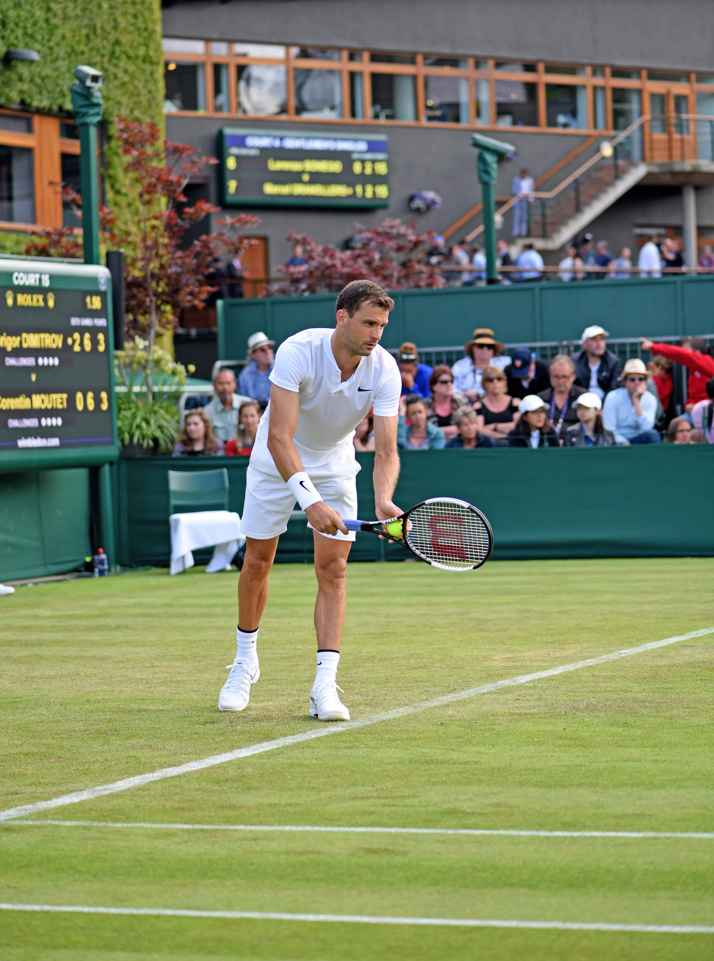 Dimitrov 3.jpg