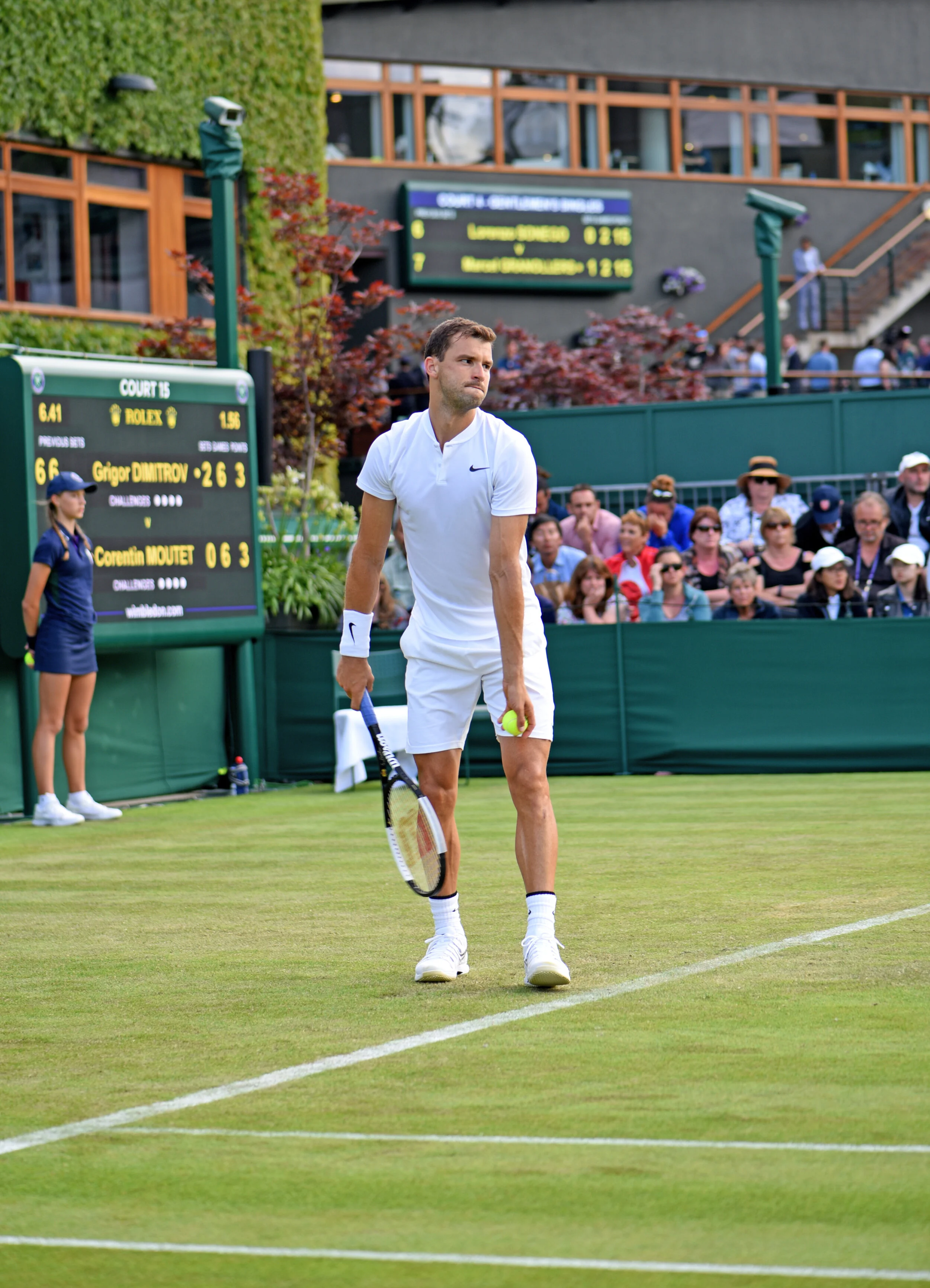 Dimitrov 4.jpg