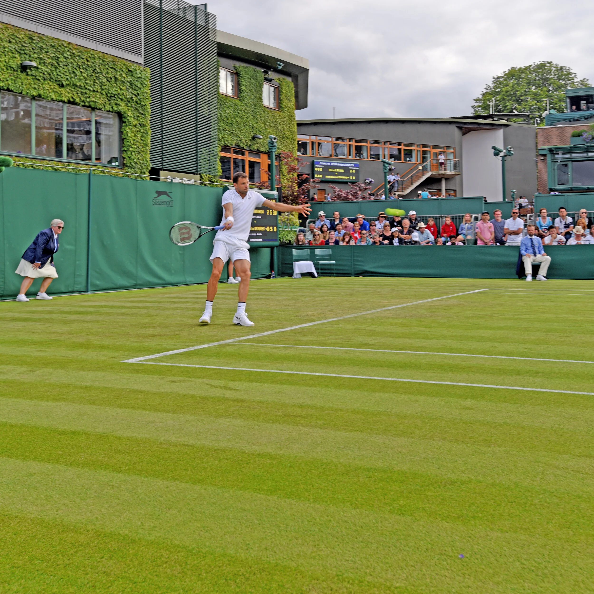 Dimitrov 15.jpg