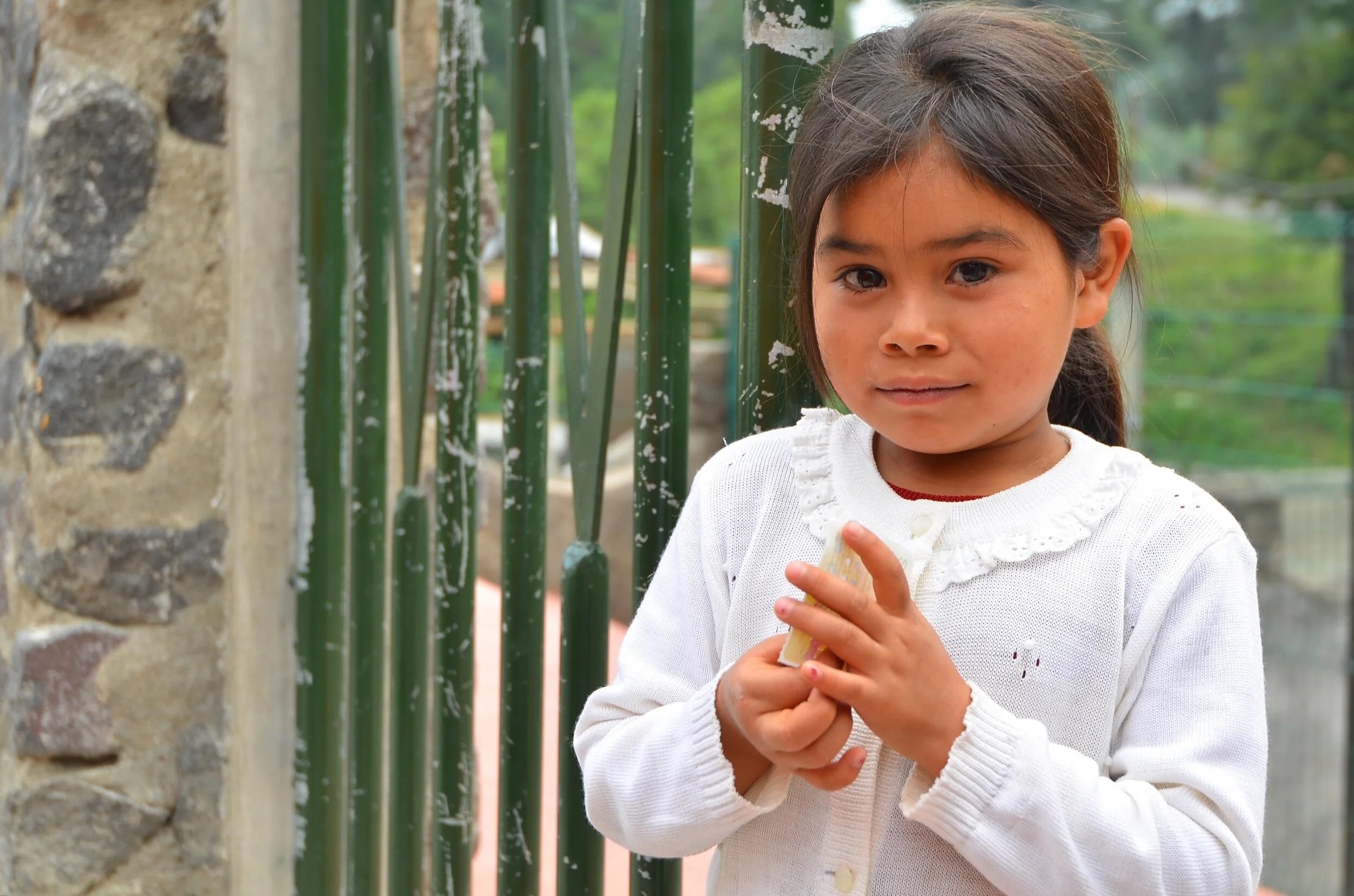 Volcano Village 8.jpg