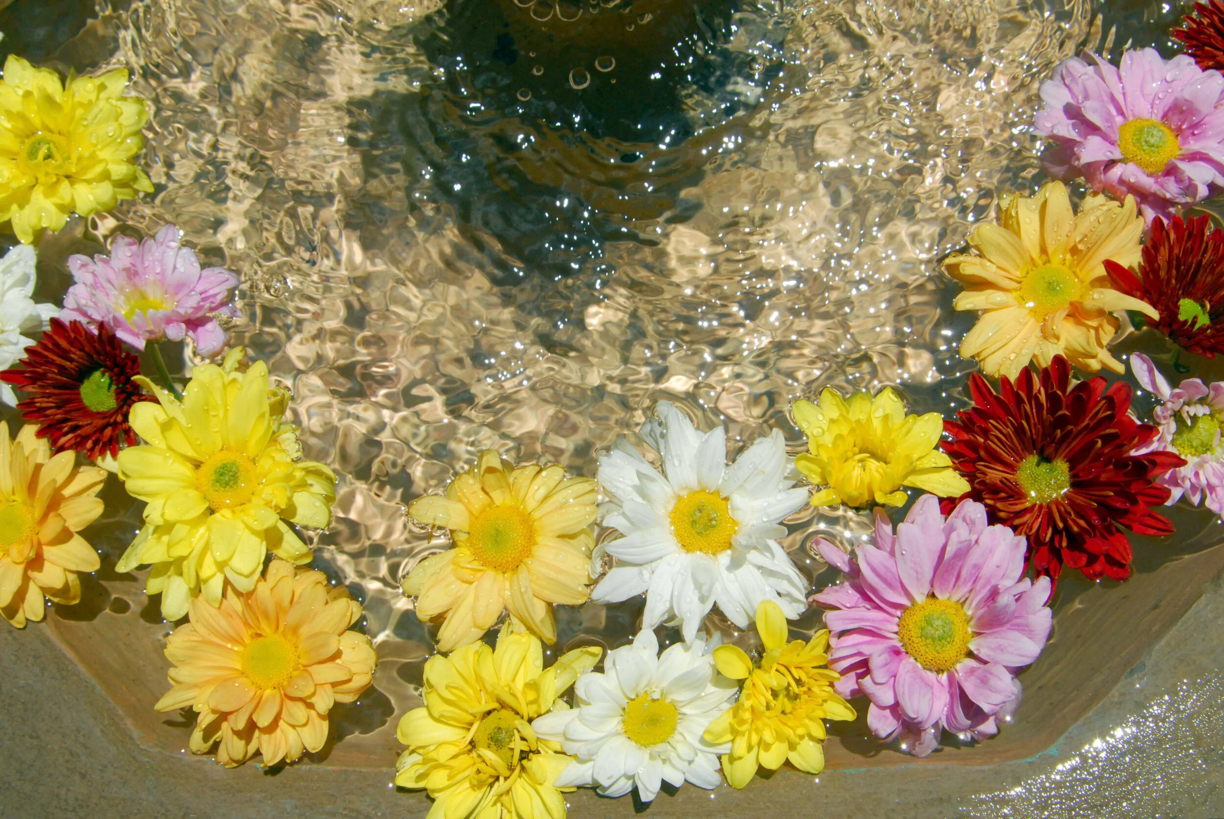 SMA fountain.jpg