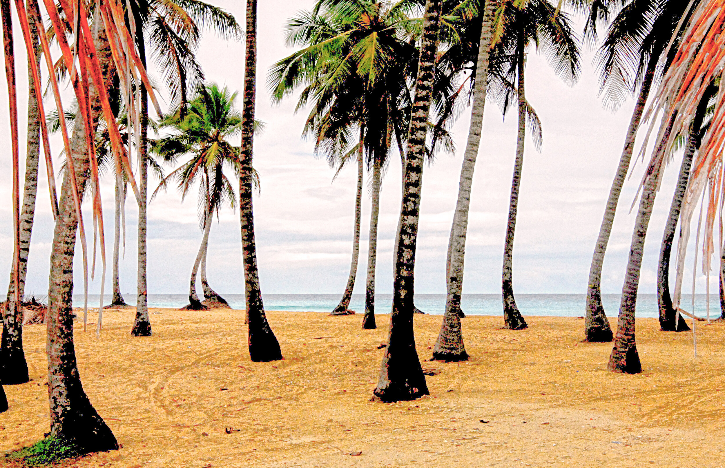 Macau beach 6.jpg