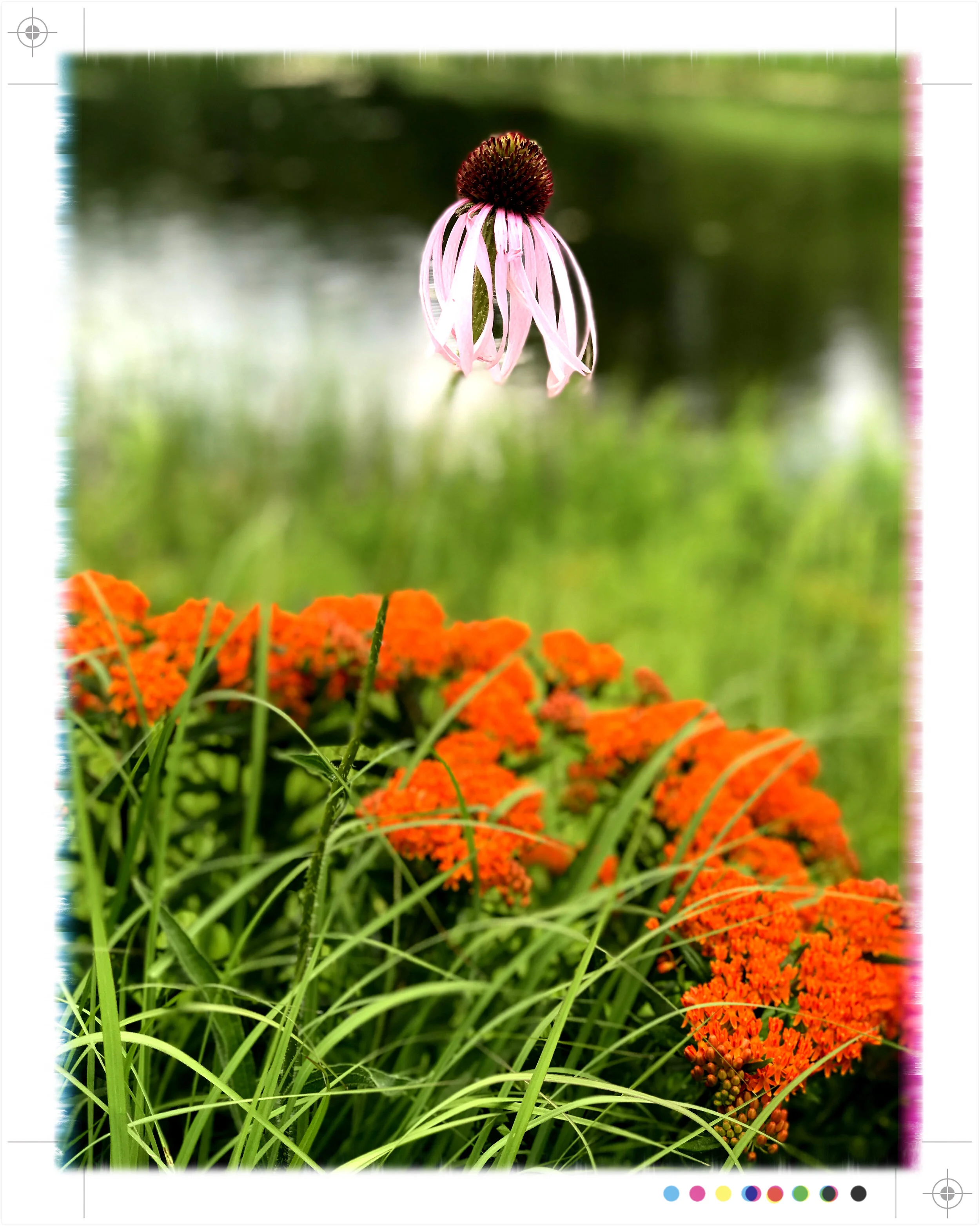 IMG_8359.jpg