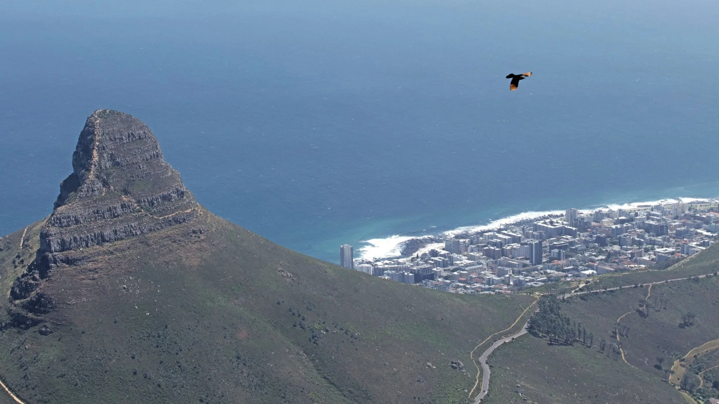 Cape+Town+Mountain.jpg