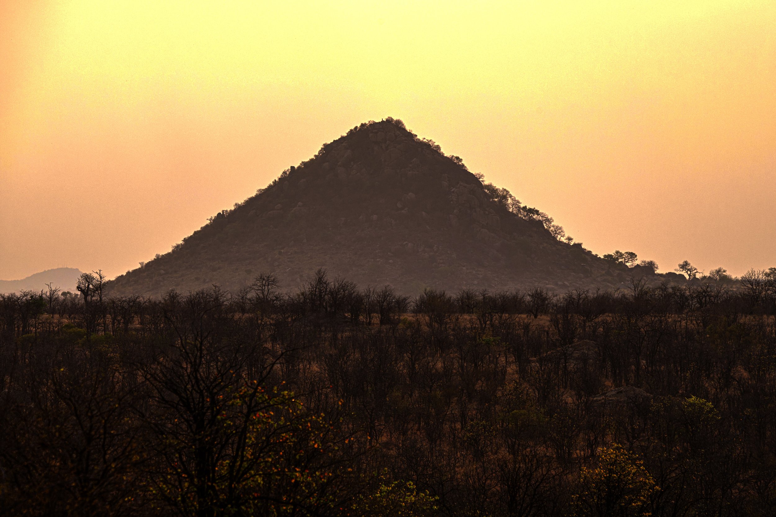 Landscape 1a copy.jpg