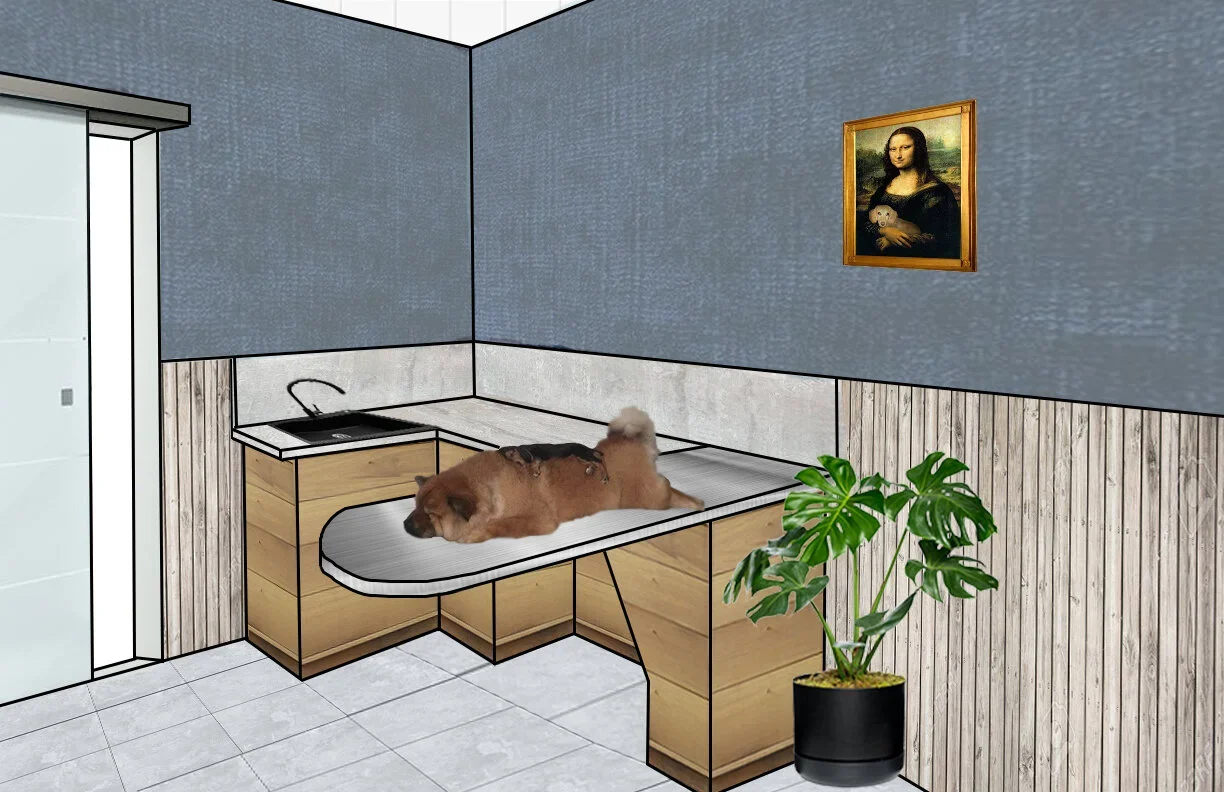 Vet Office - Situation