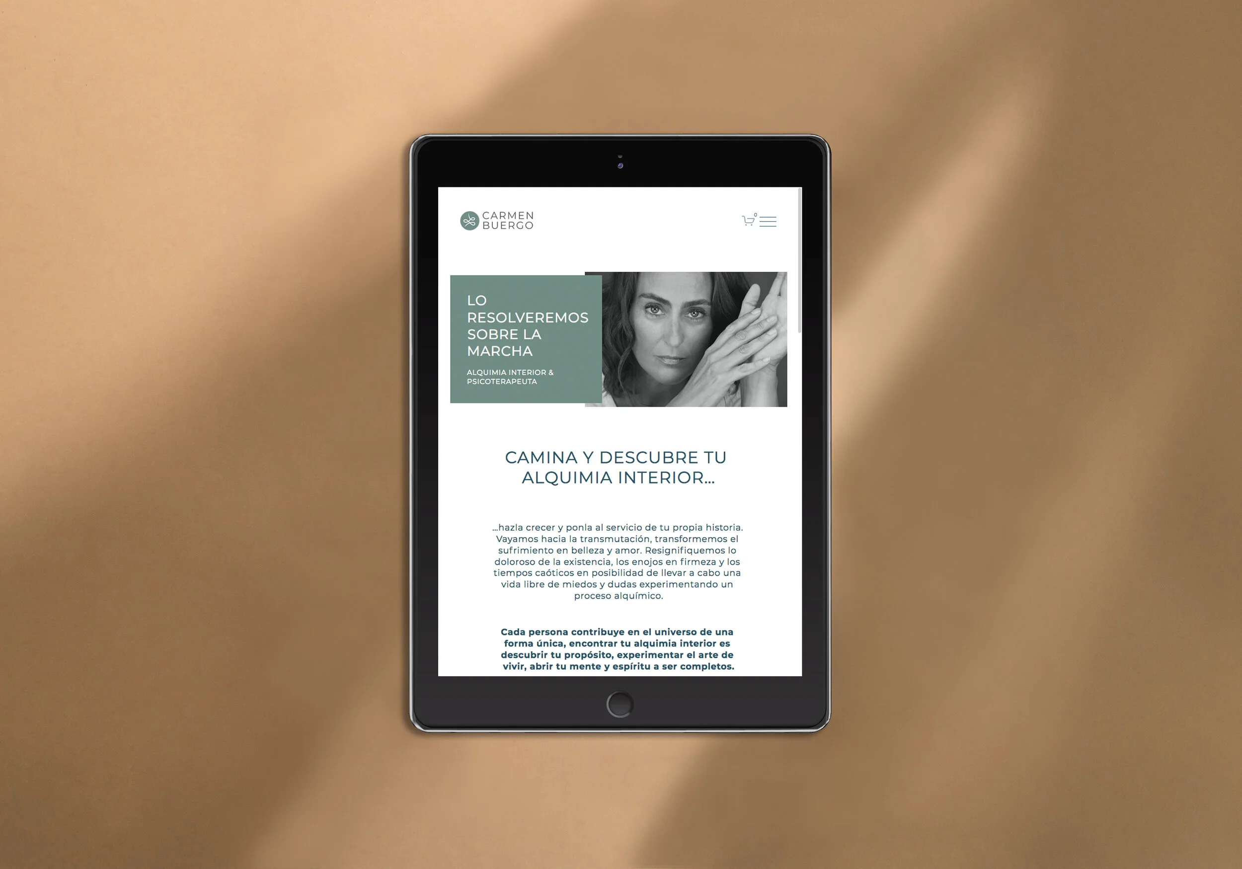 ipad carmen buergo.jpg