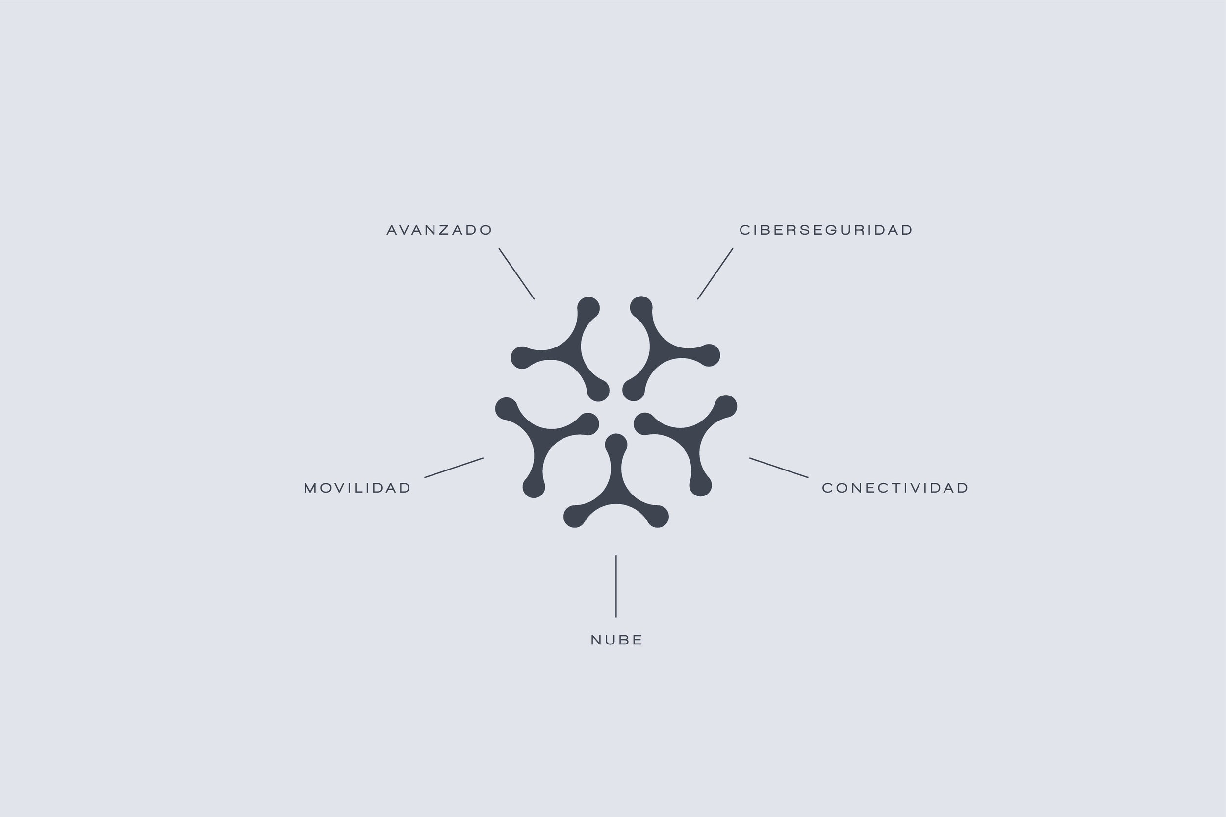 Portfolio Main-02.png