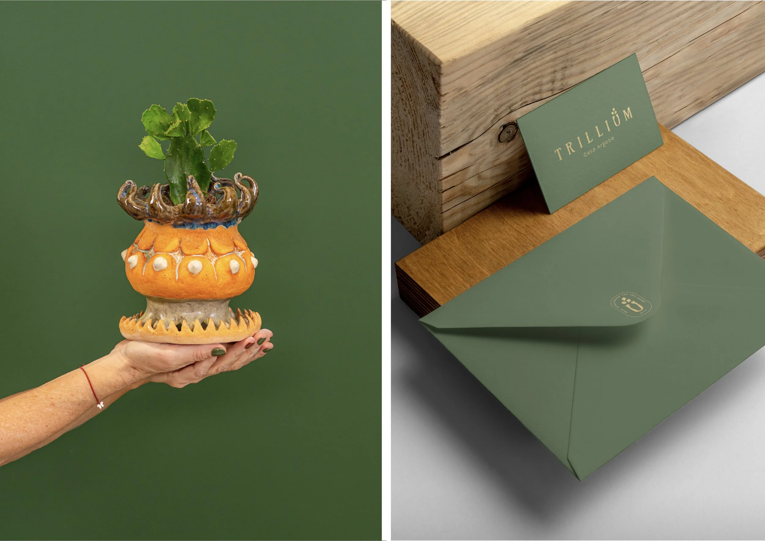 Trillium_Portafolio_Web_V02-17.jpg