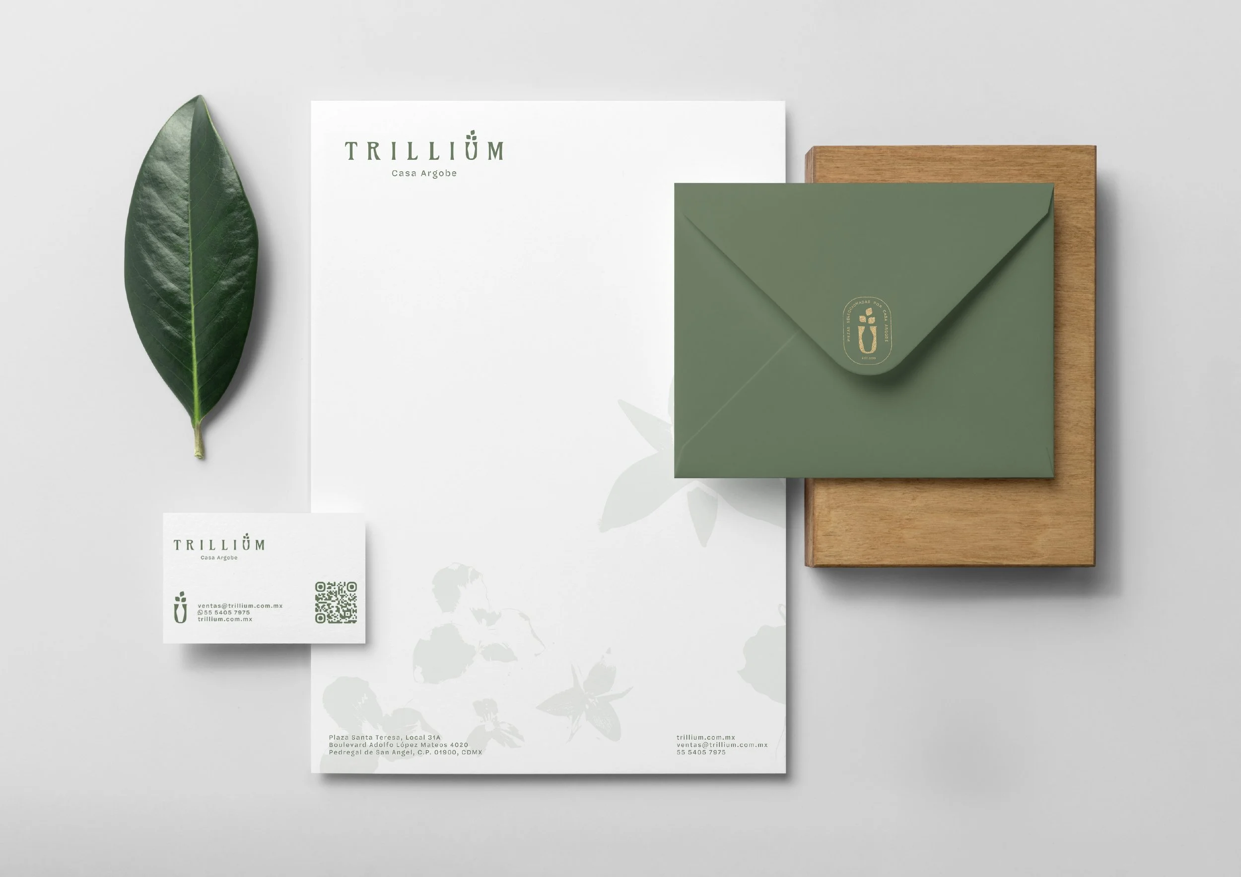 Trillium_Portafolio_Web_Extra-02.jpg