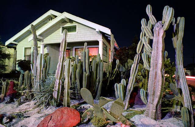 Cactus House Albany Ca.jpeg
