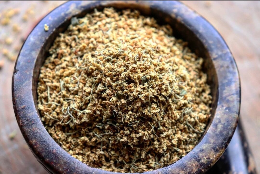 Elderflowers 2.jpg