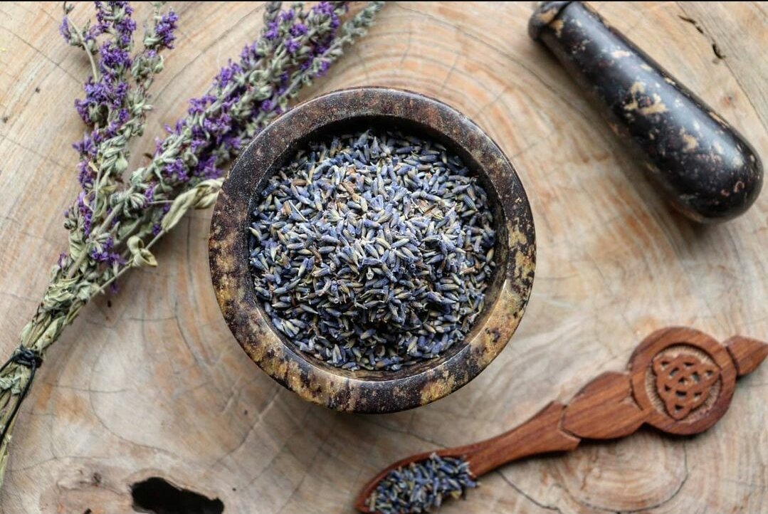 Lavender 2.jpg