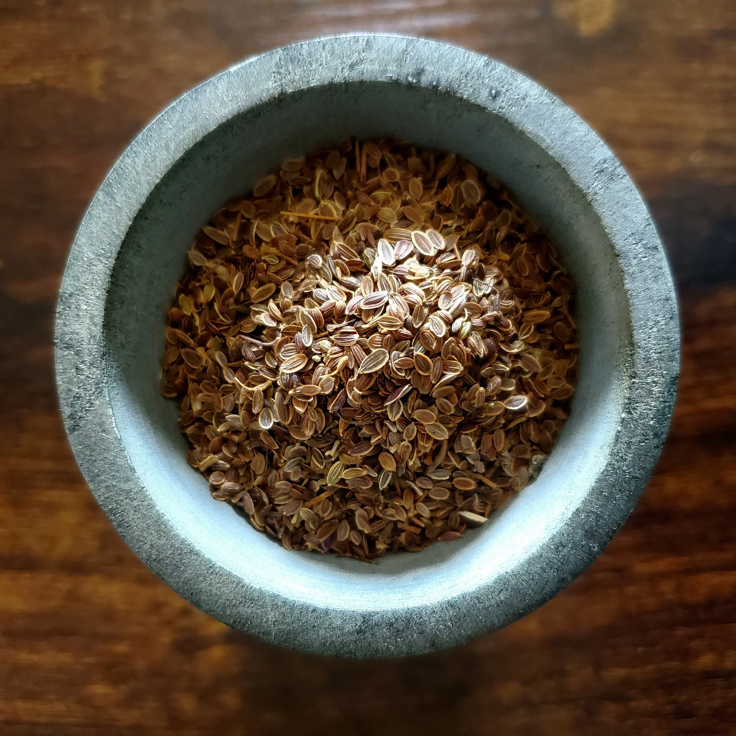 Dill Seed