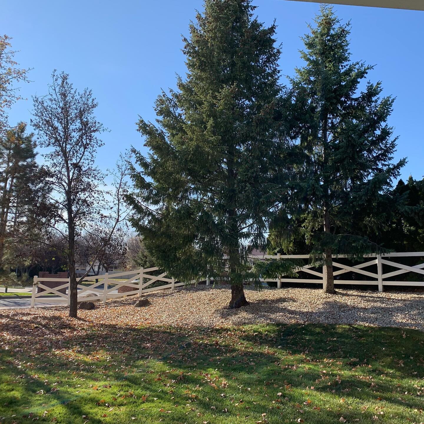 The view from our new place 🖤 This year has been so hard on my family and those around me, I can&rsquo;t help but feel so blessed and lucky to call this place home. Winter is coming, and I can&rsquo;t wait to see the snow settle on these evergreens.