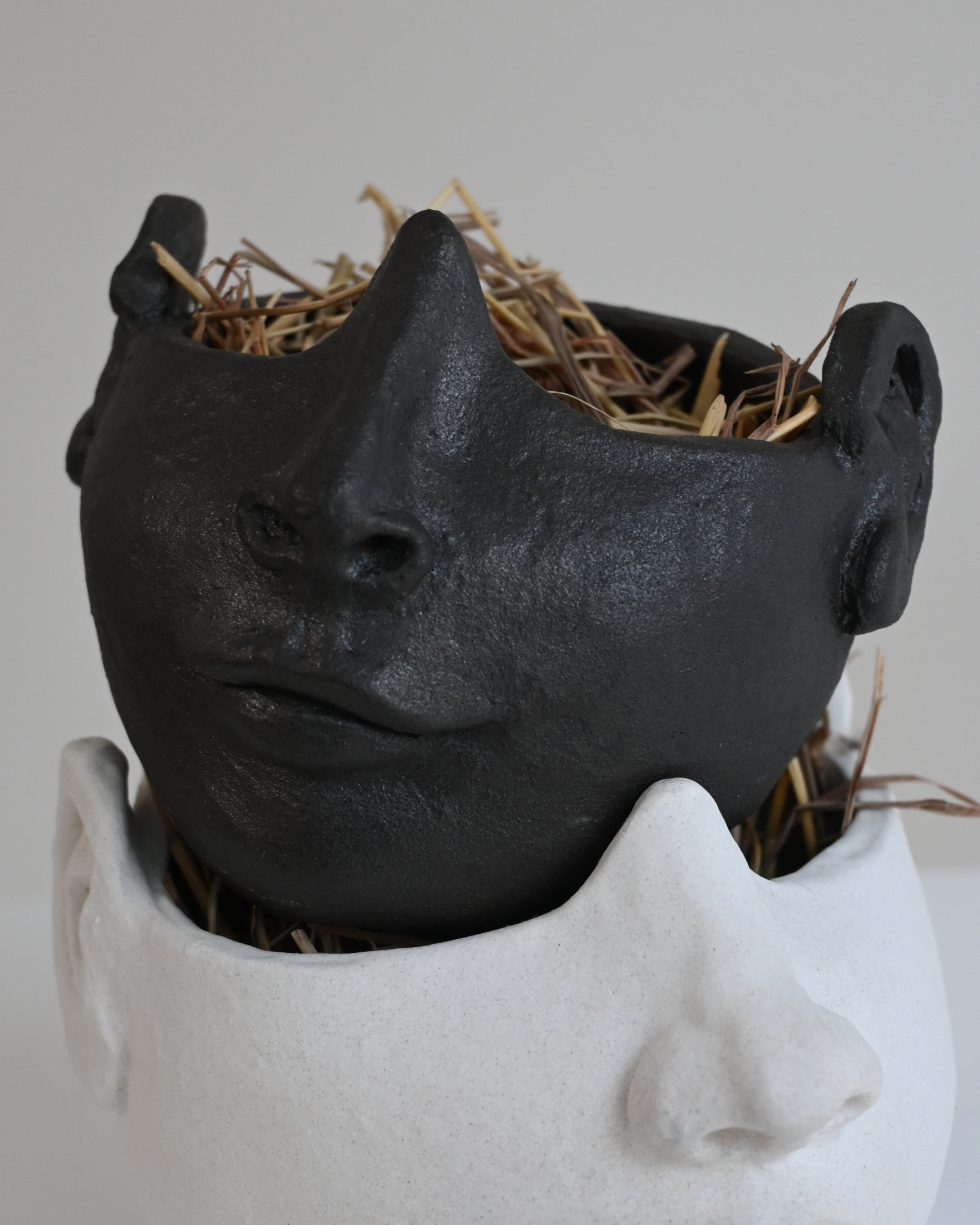 Sharon Nichole González Colón