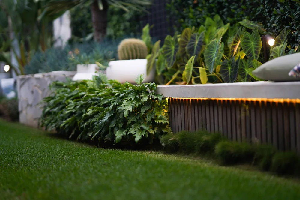 Projects — Outside Indulgence