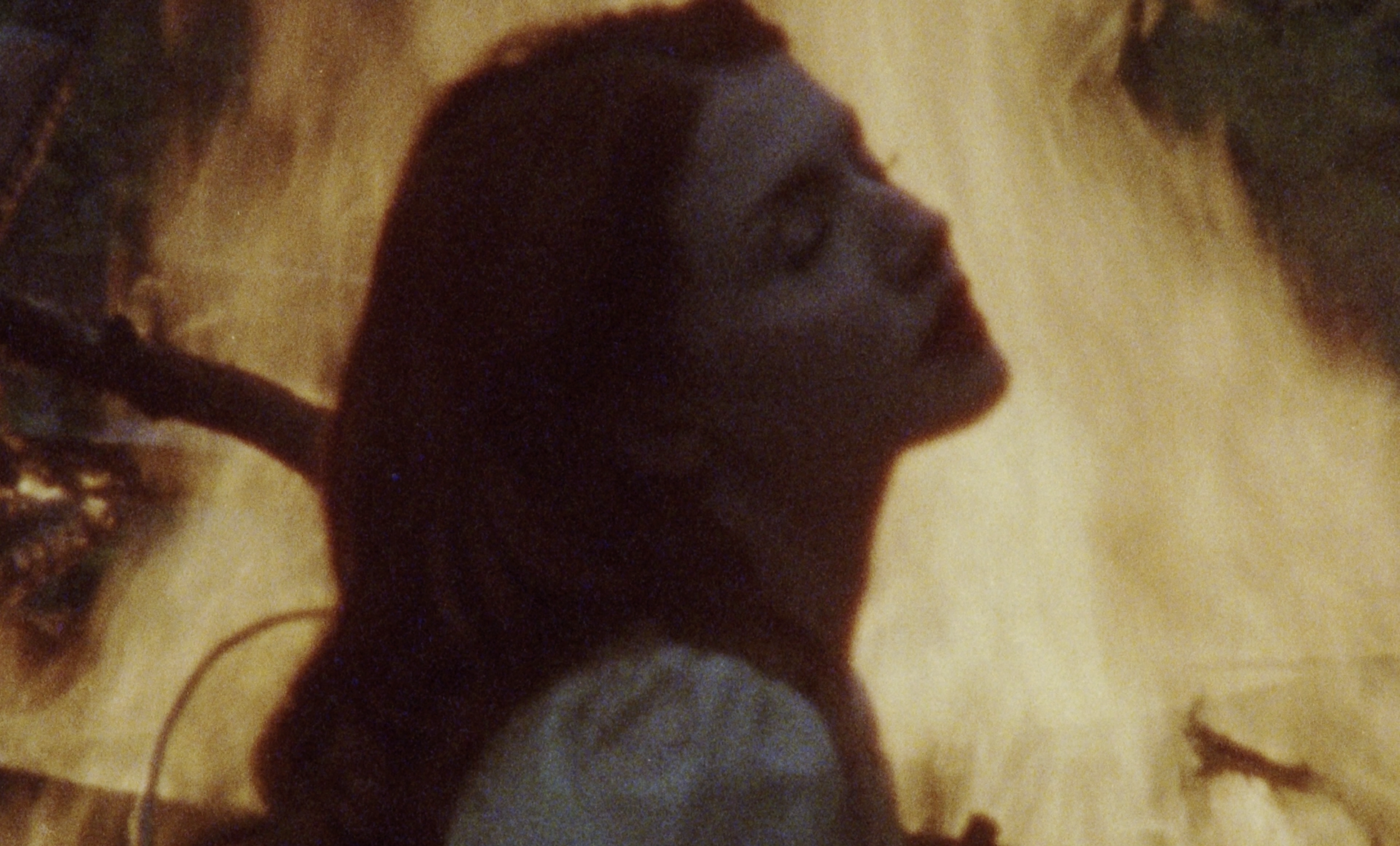 Screenshot 2025-07-24 at 8.19.24 PM.png