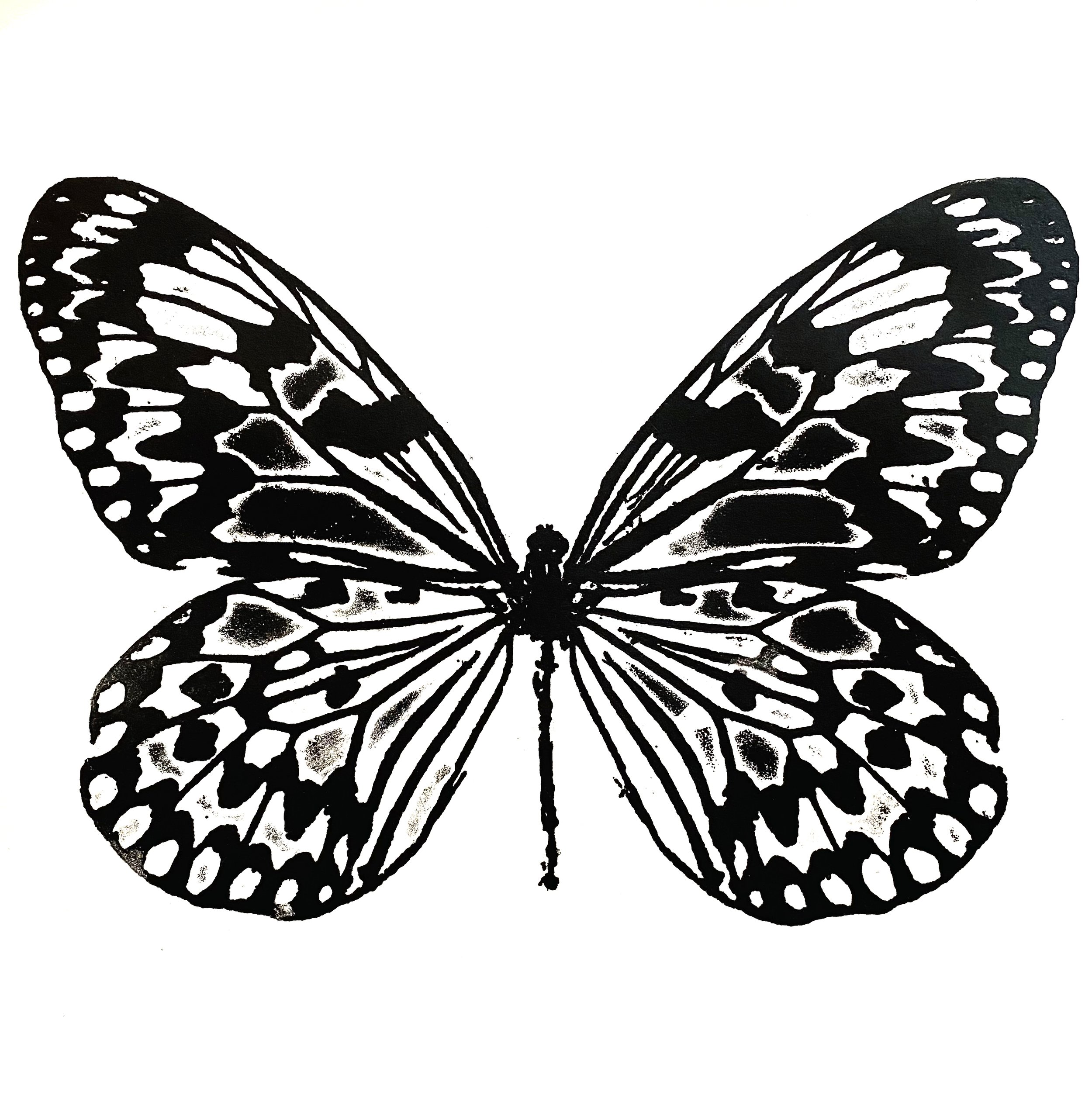 ButterflyStudyII.jpg