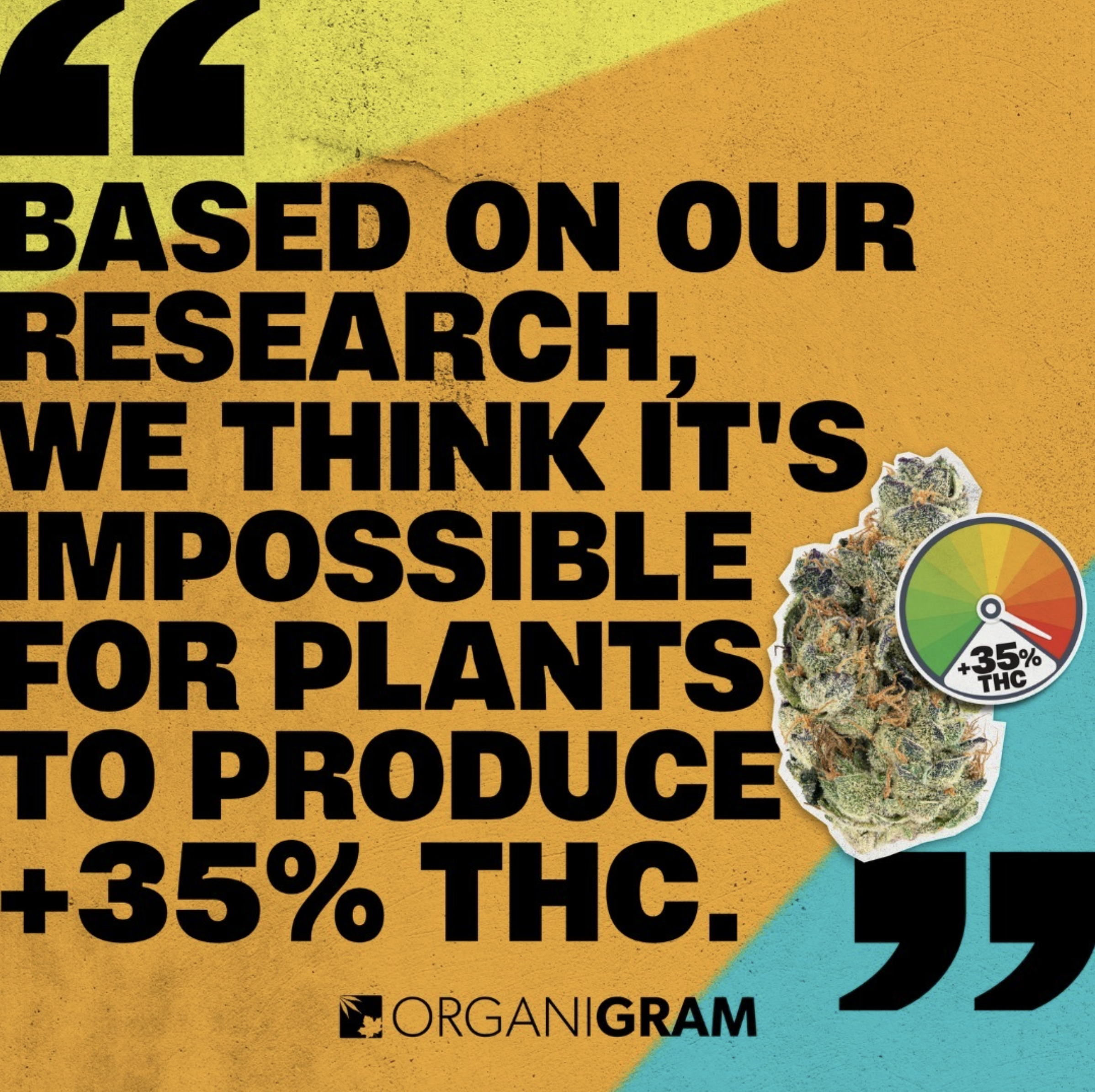 Screen Shot 2023-10-11 at 9.14.01 PM.png