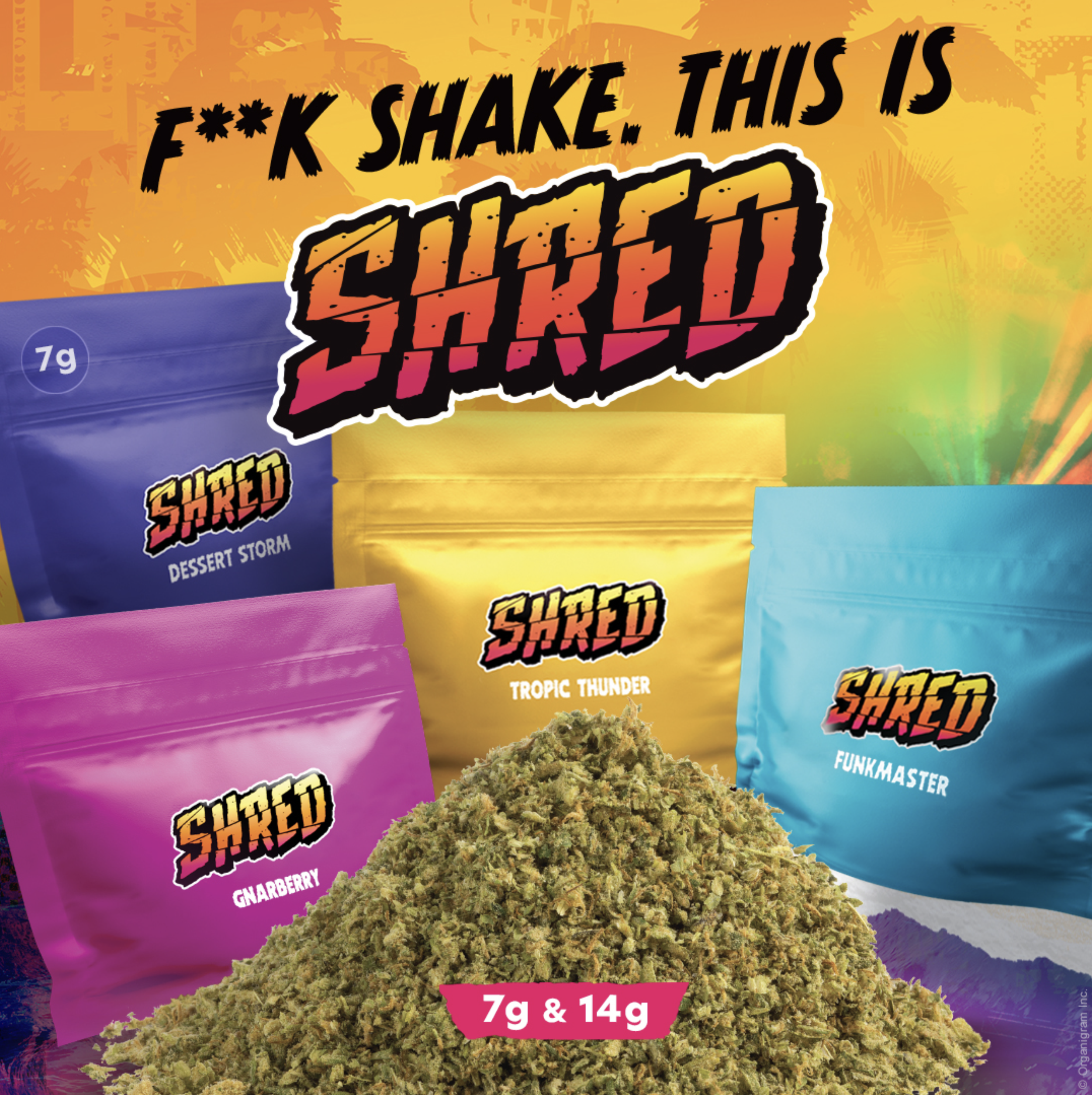 Screen Shot 2023-10-11 at 8.26.15 PM.png