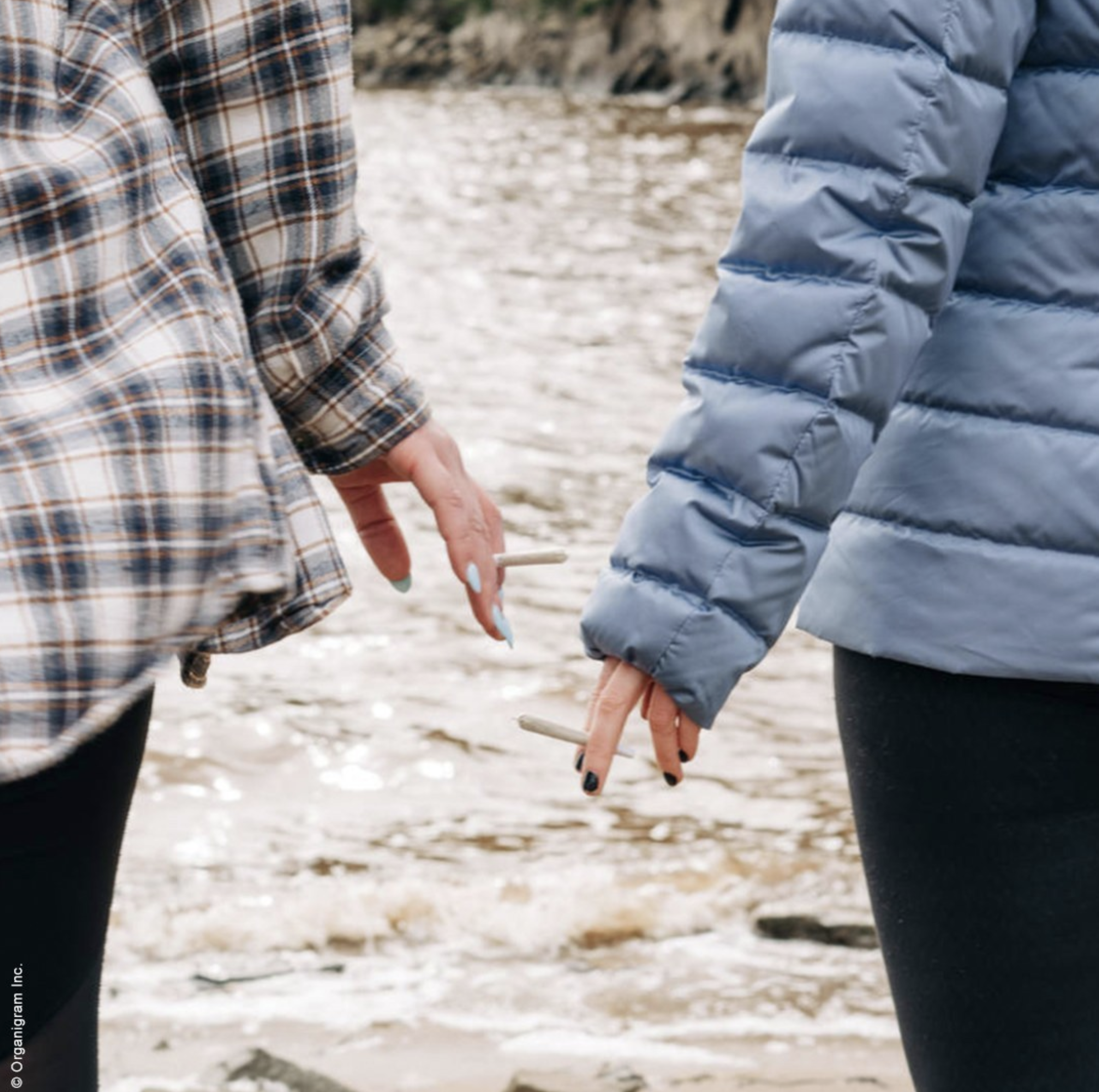 Screen Shot 2023-10-11 at 9.37.25 PM.png