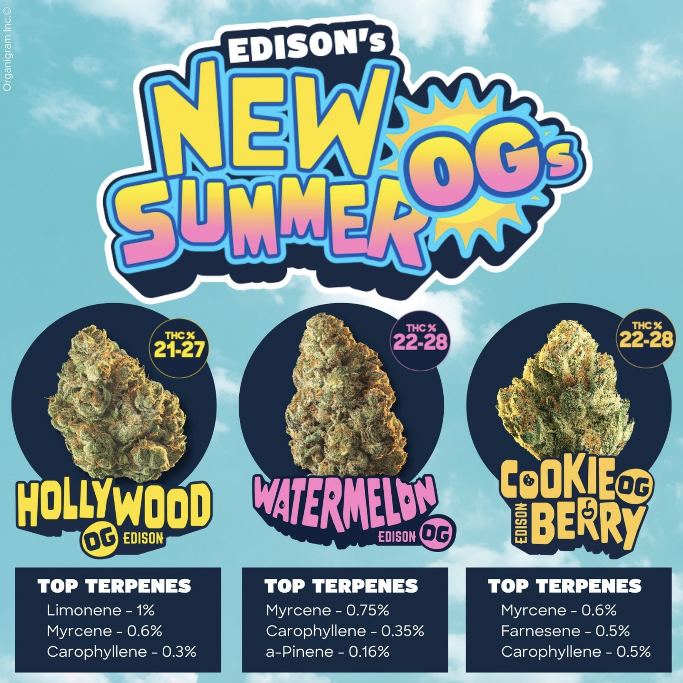 Screen Shot 2023-10-11 at 9.47.57 PM.png