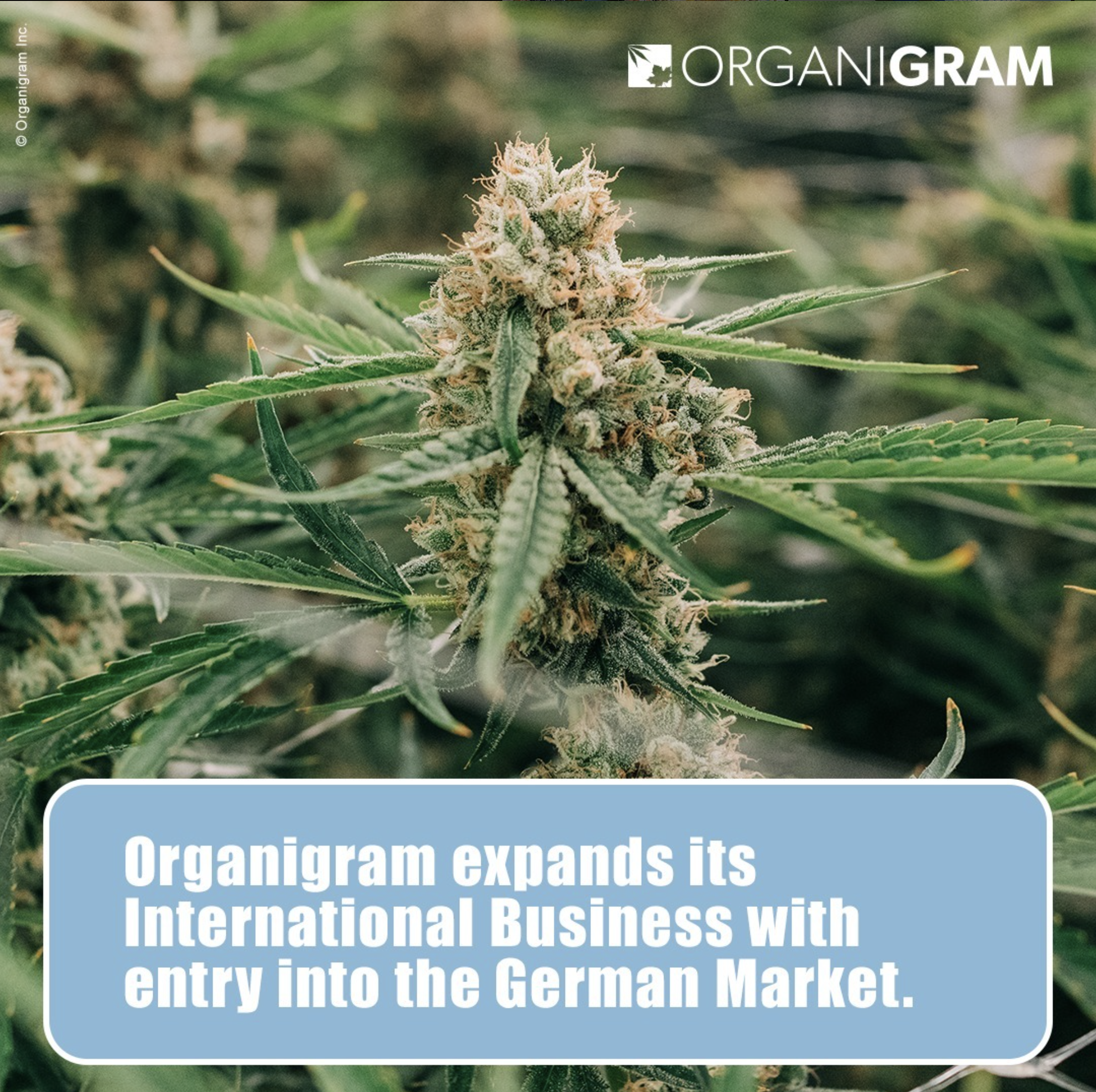 Screen Shot 2023-10-11 at 9.11.16 PM.png