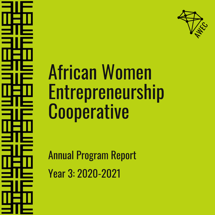 Y3+Annual+Report+(Website+Cover)+.png