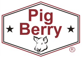 Pigberry Logo ( Chiedza Mahovo).png