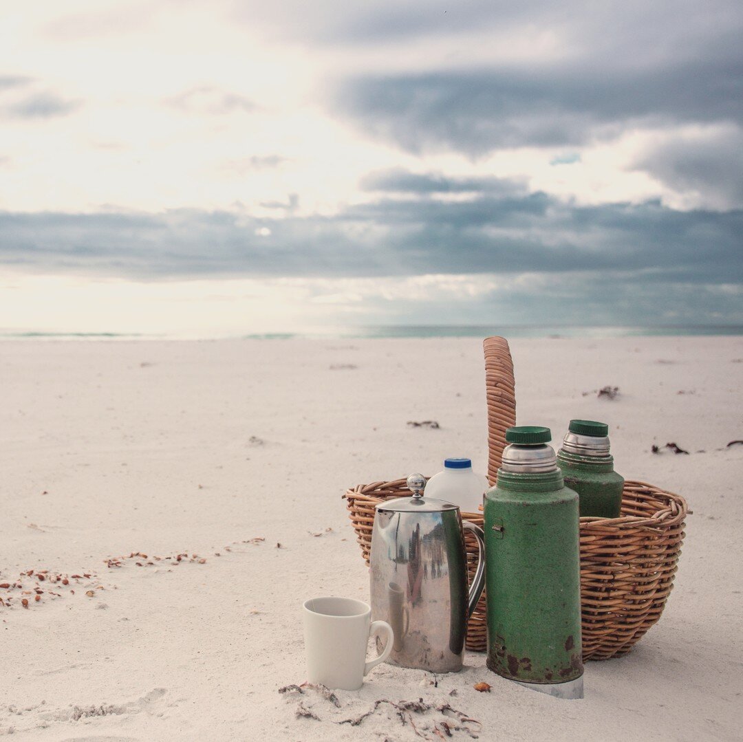 Those simple pleasures - a morning coffee on an empty beach.⁠
⁠
⁠
⁠
⁠
#Friendlybeaches⁠
#Freycinetexperiencewalk⁠
#Friendlybeacheslodge