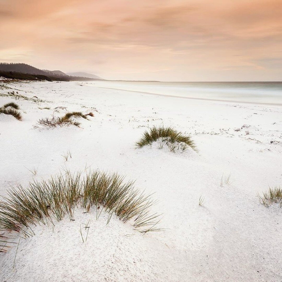 Friendly Beaches Dreaming⁠
⁠
⁠
⁠
📷@ingooeland 🙏⁠
⁠
⁠
#friendlybeaches⁠
#freycinetnationalpark⁠
#freycinetexperiencewalk