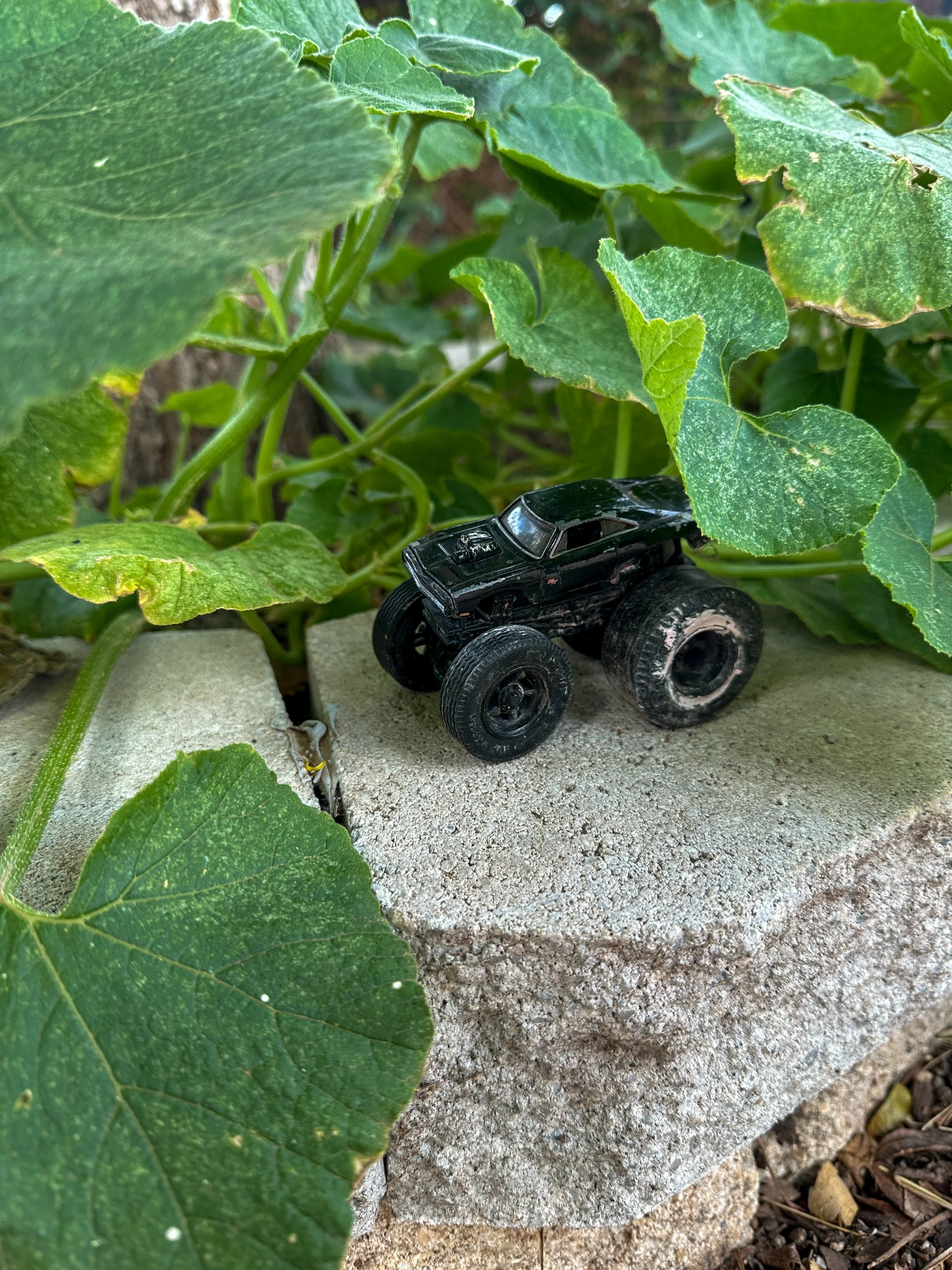 Toy monster truck in the garden, jungle monster trucks outdoor pretend play game for kids
