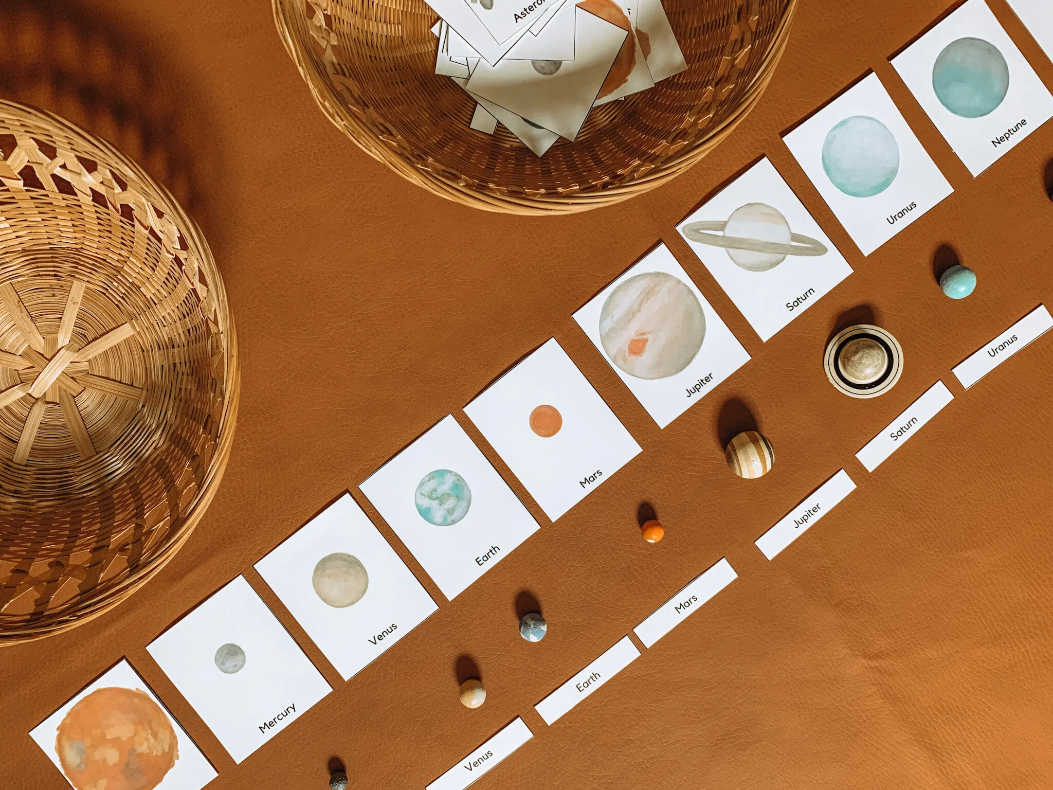 Three-part cards Montessori method for preschool learning and early childhood education