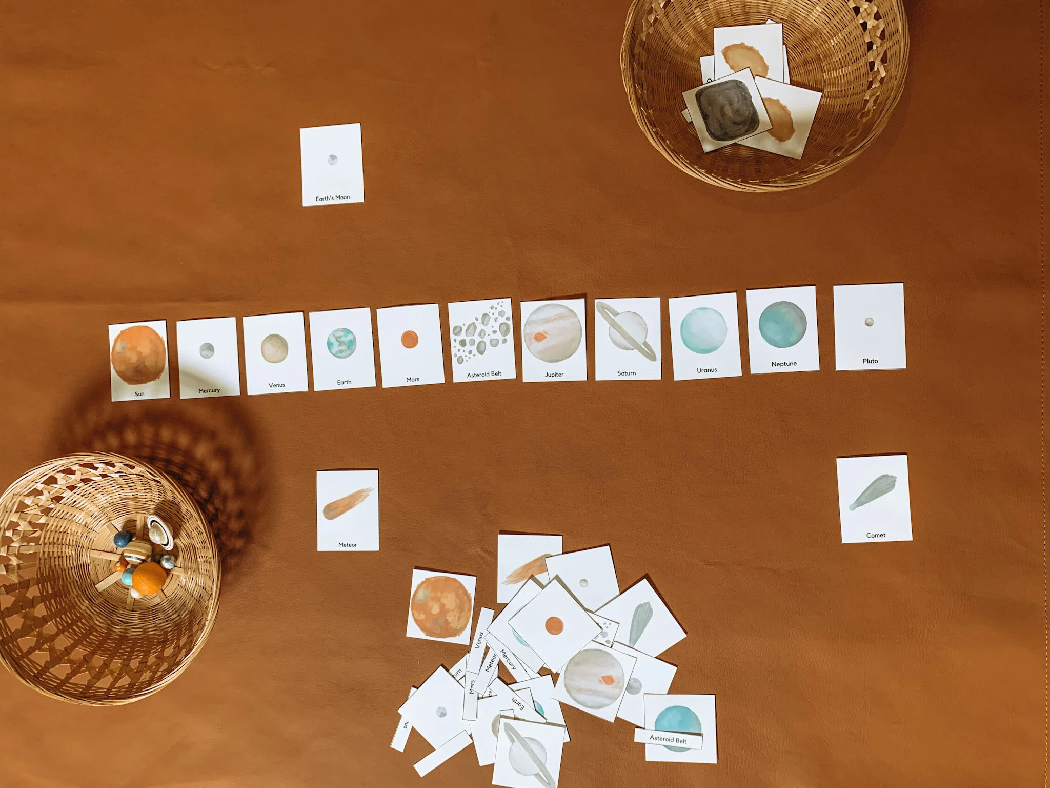 How to use Montessori 3-part nomenclature cards with hand-painted watercolor printable by Liza Dora Books