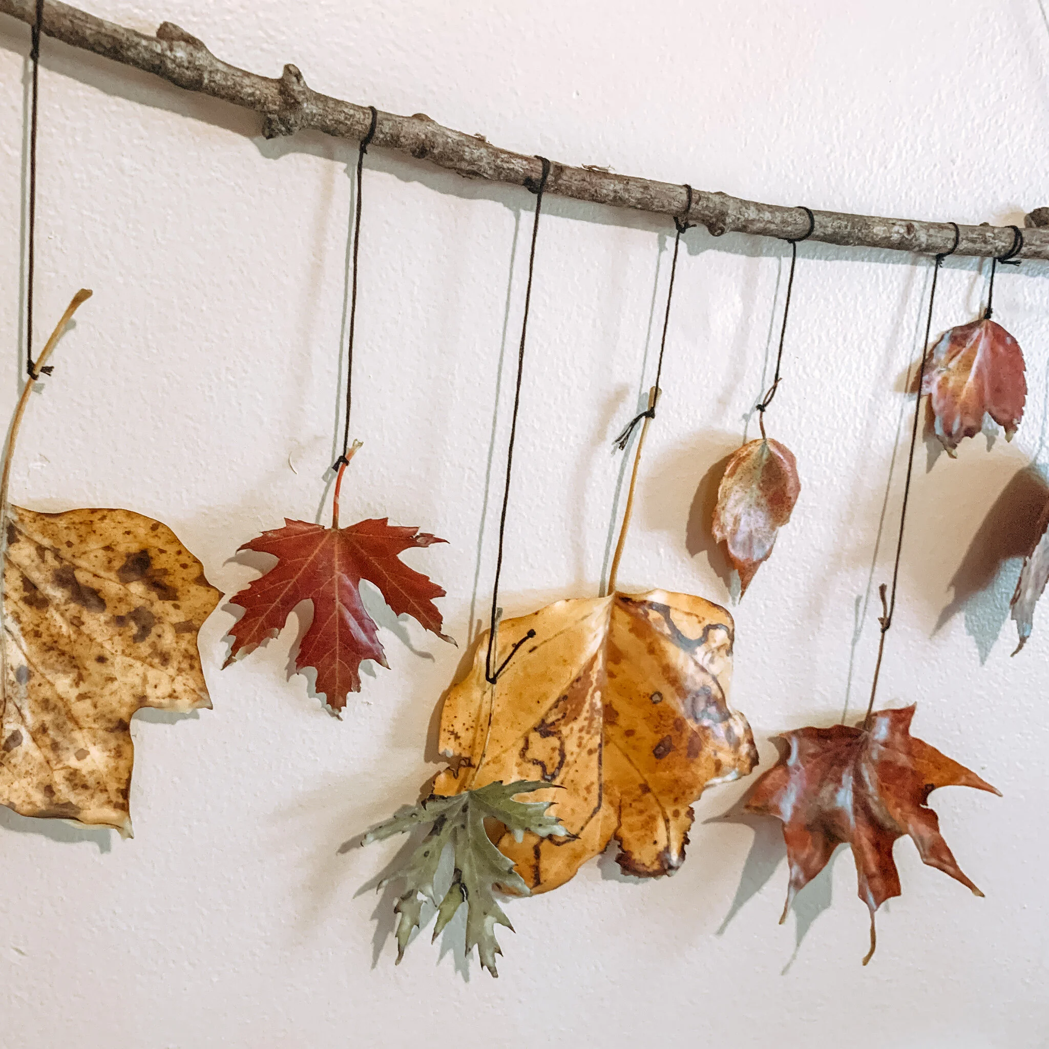 Fall sensory play autumn preschool craft activity for toddlers and young children