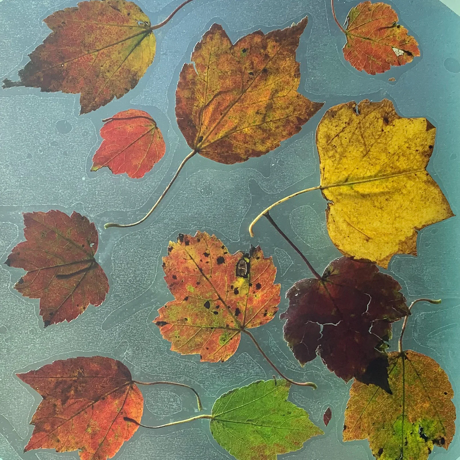 Autumn leaf craft fall preschool art project with natural materials