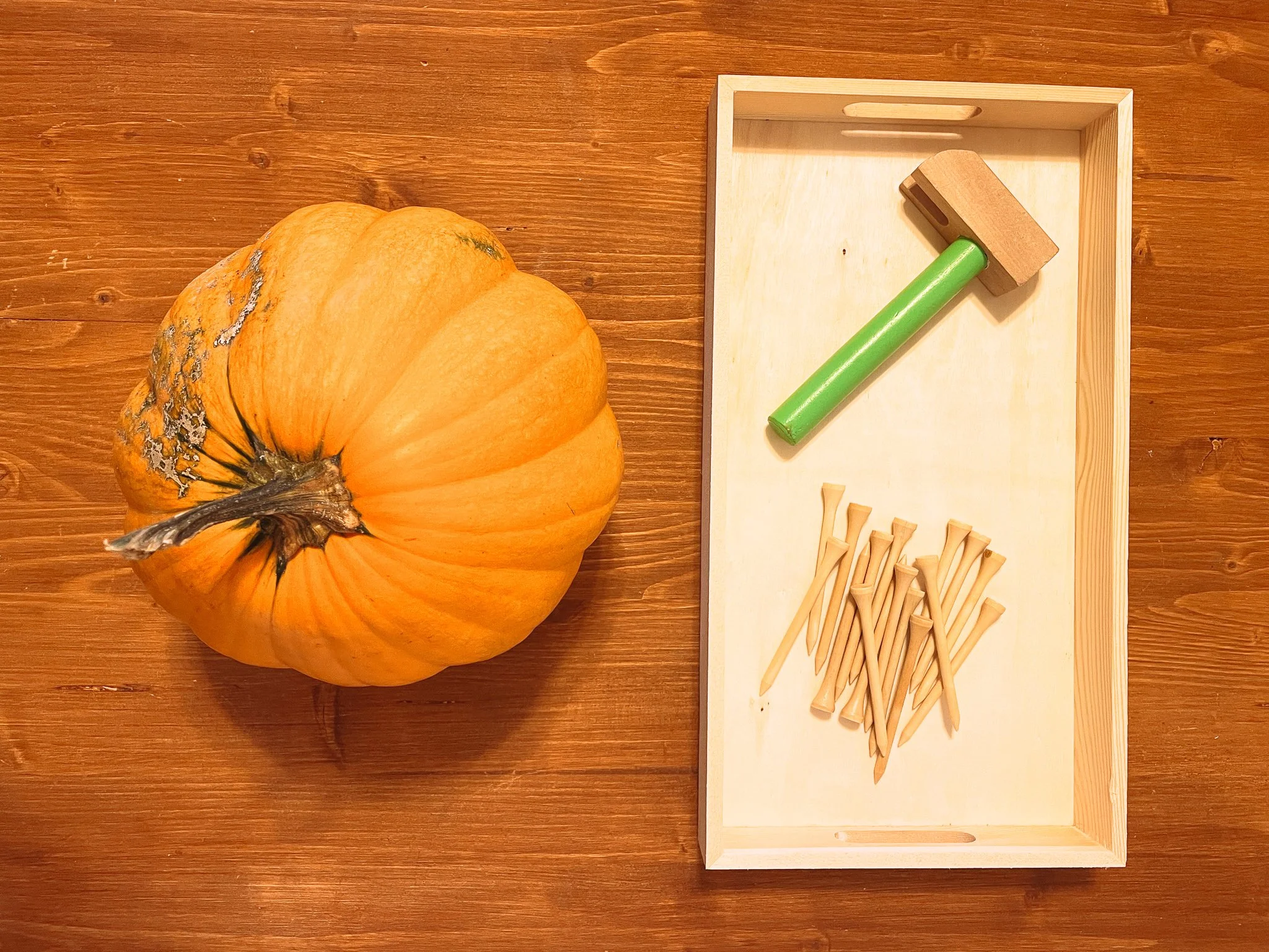 Fall pumpkin fine motor skills activity for preschoolers with hand-painted watercolor printable by Liza Dora Books