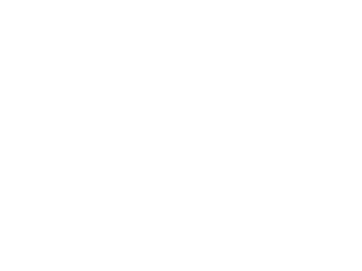 Penguin.png