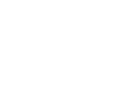 TransportNSW.png
