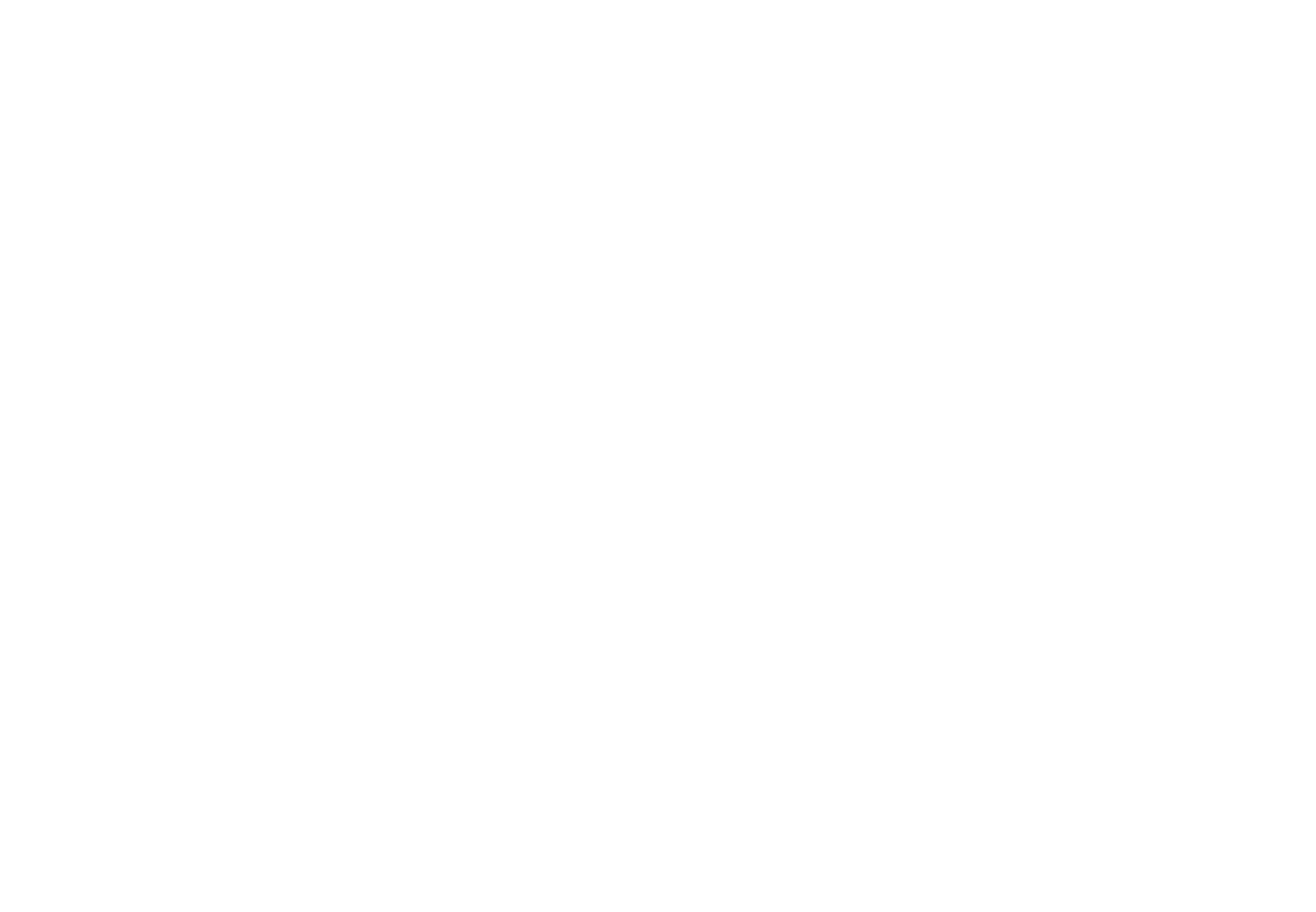 Roam Travel Company