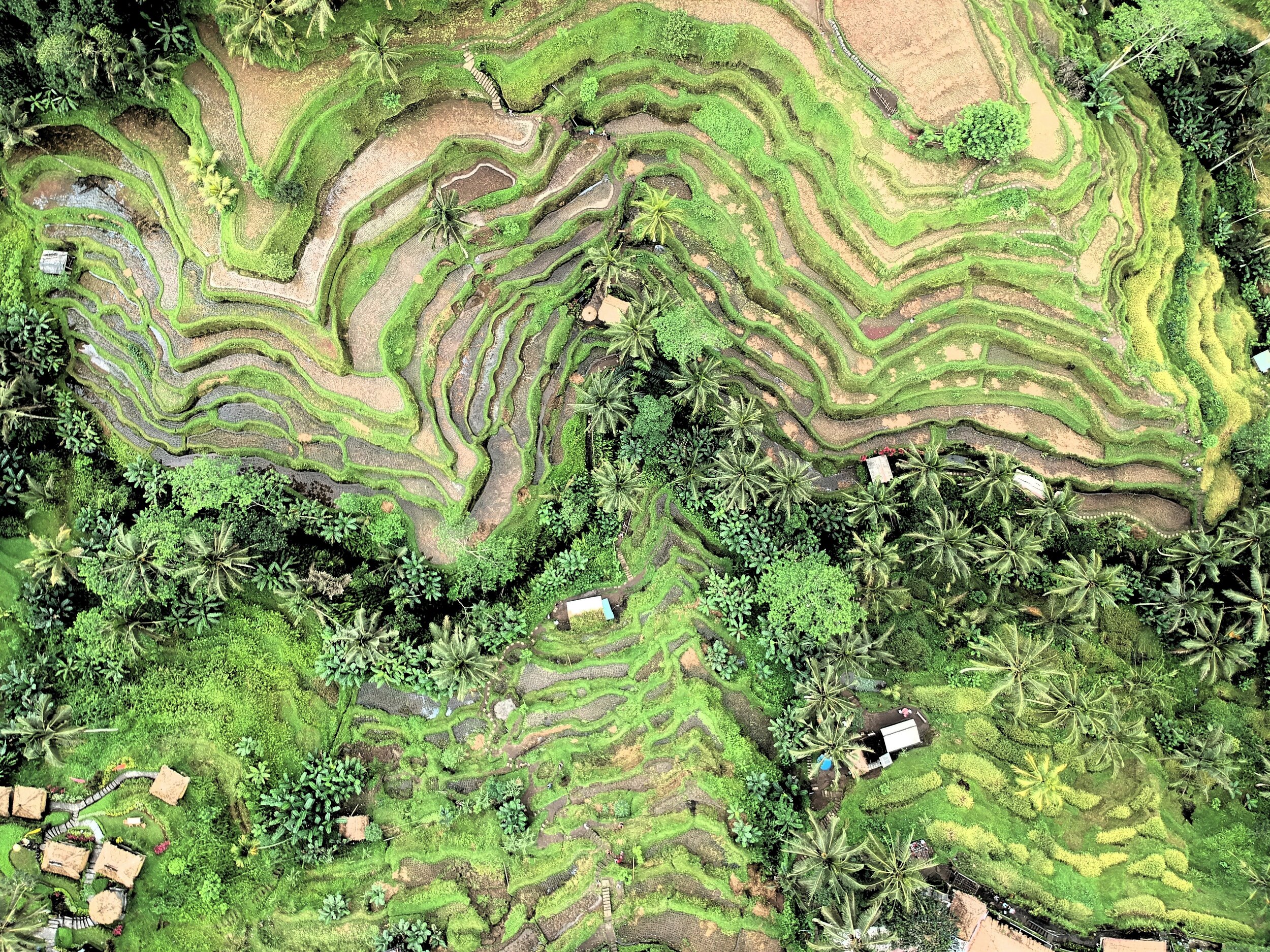Asia