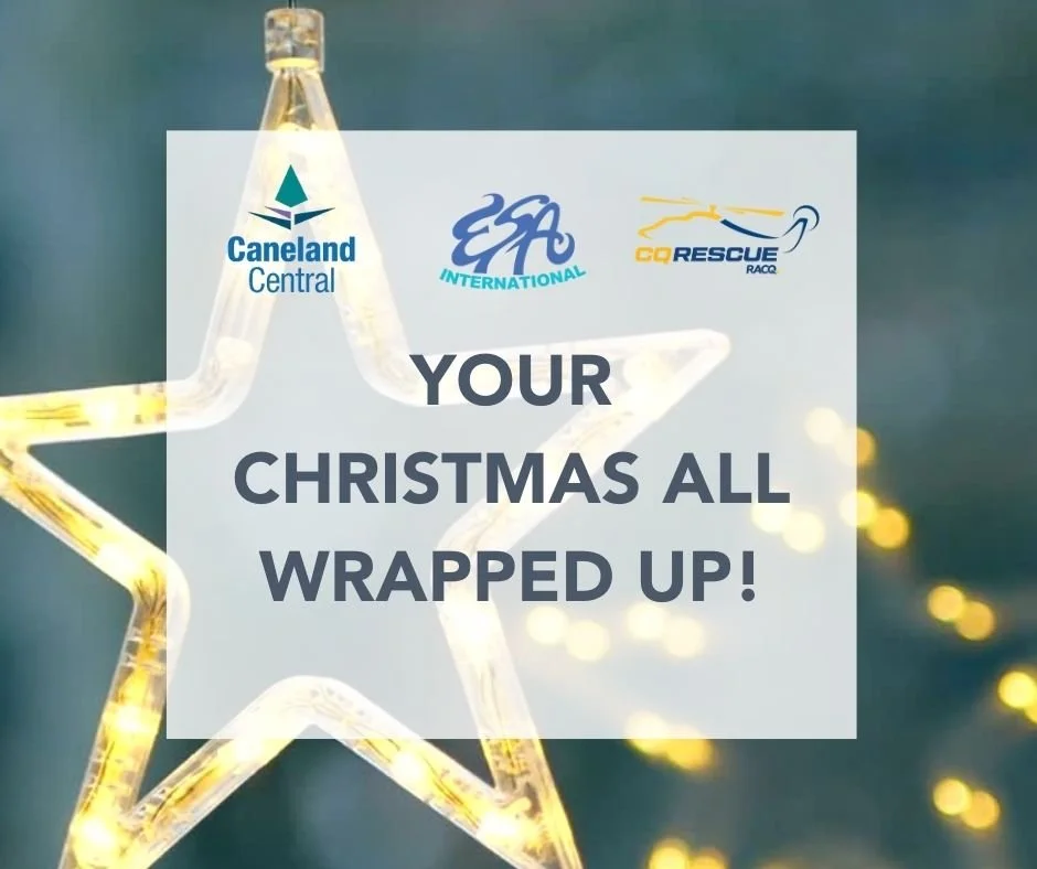 Christmas Wrapping 2023