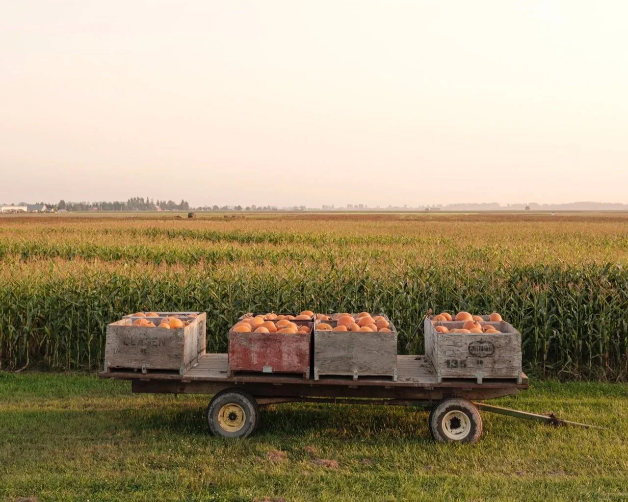 Gordon Skagit Farm for Martha Stewart Living