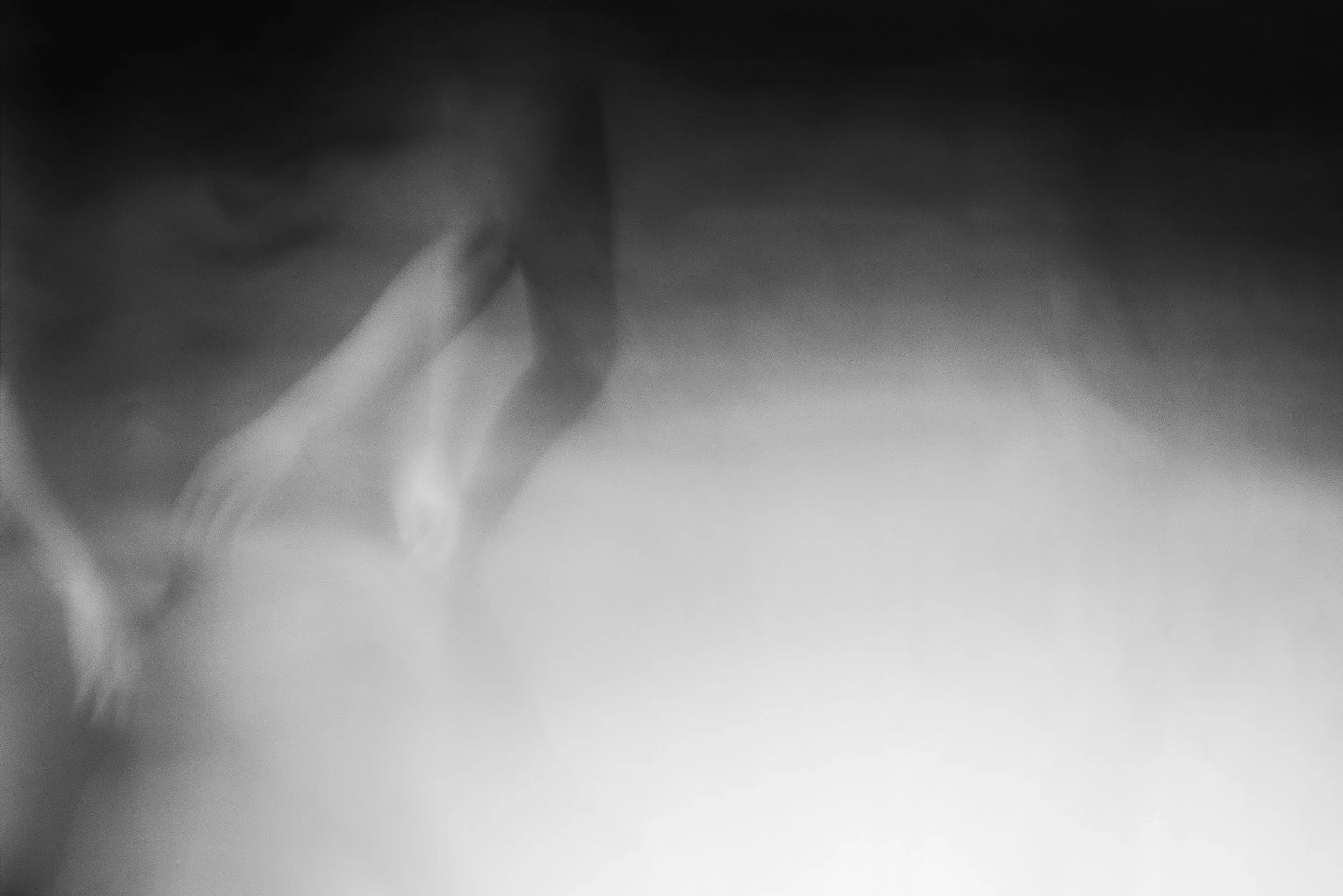 ACM_2536-1.jpg