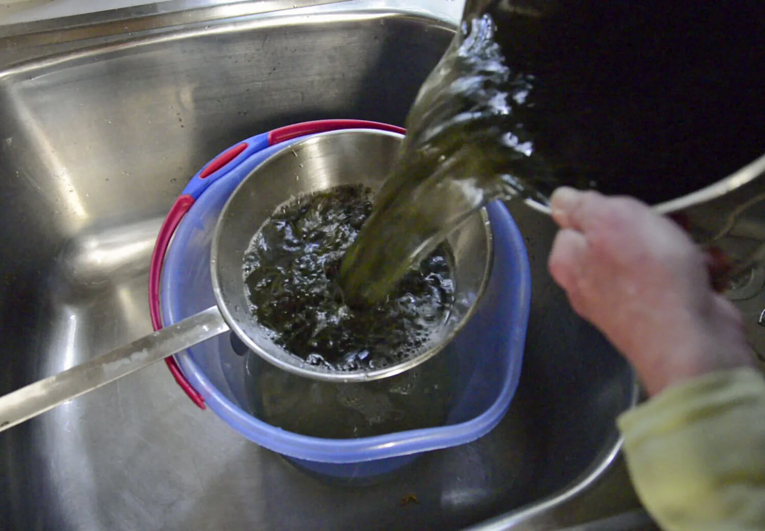 Catherine Stringer Artist — Seaweed papermaking